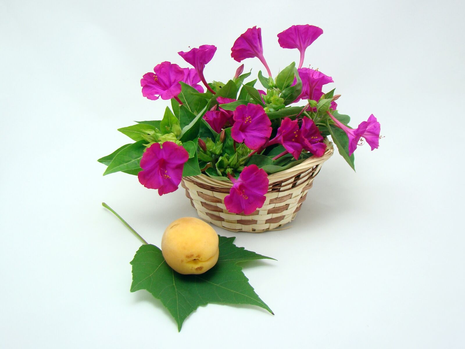 Sony DSC-H7 sample photo. Flowers, basket, green photography
