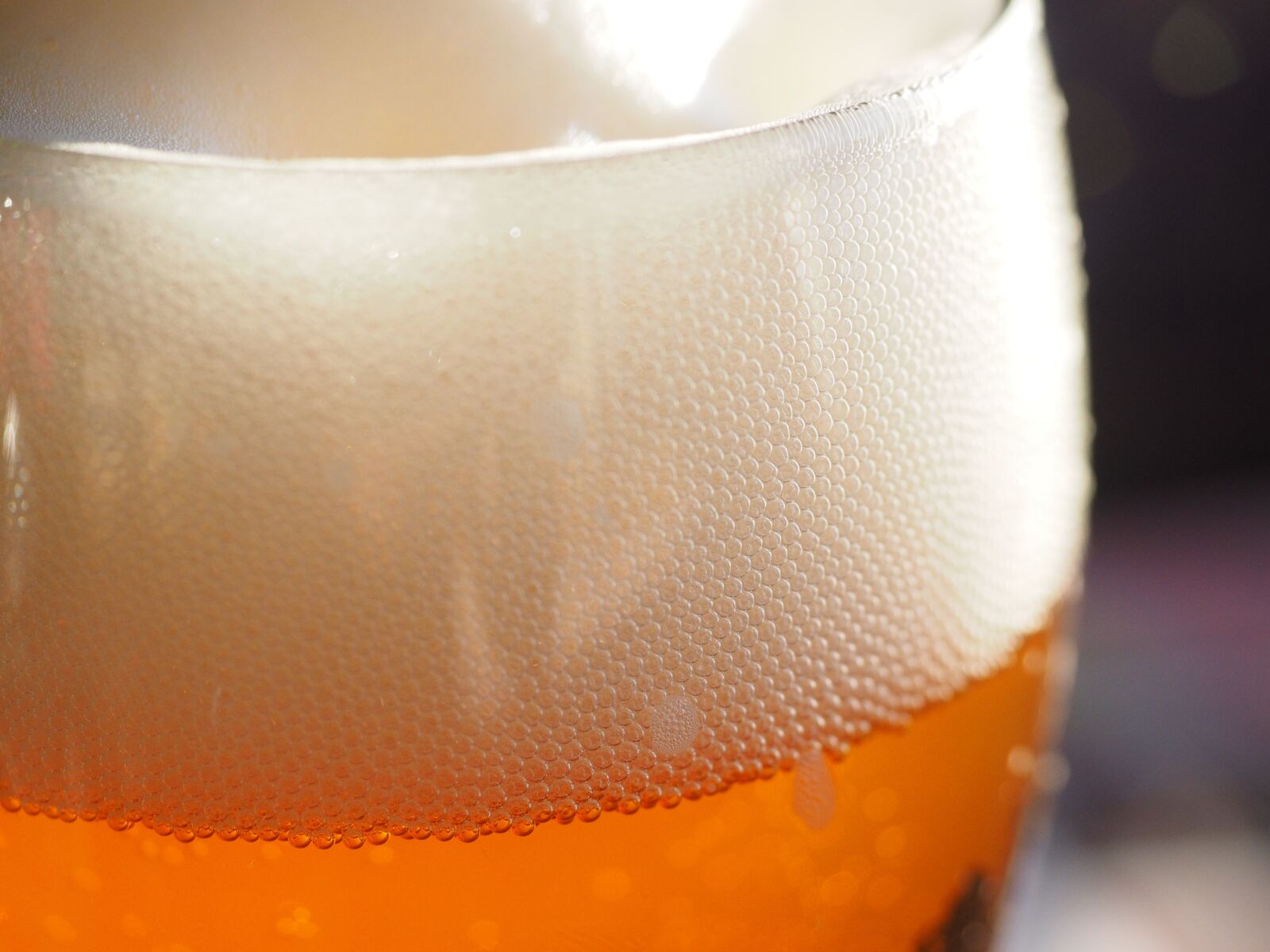 Olympus OM-D E-M1 + Olympus M.Zuiko Digital ED 12-40mm F2.8 Pro sample photo. Beer foam, head, beer photography