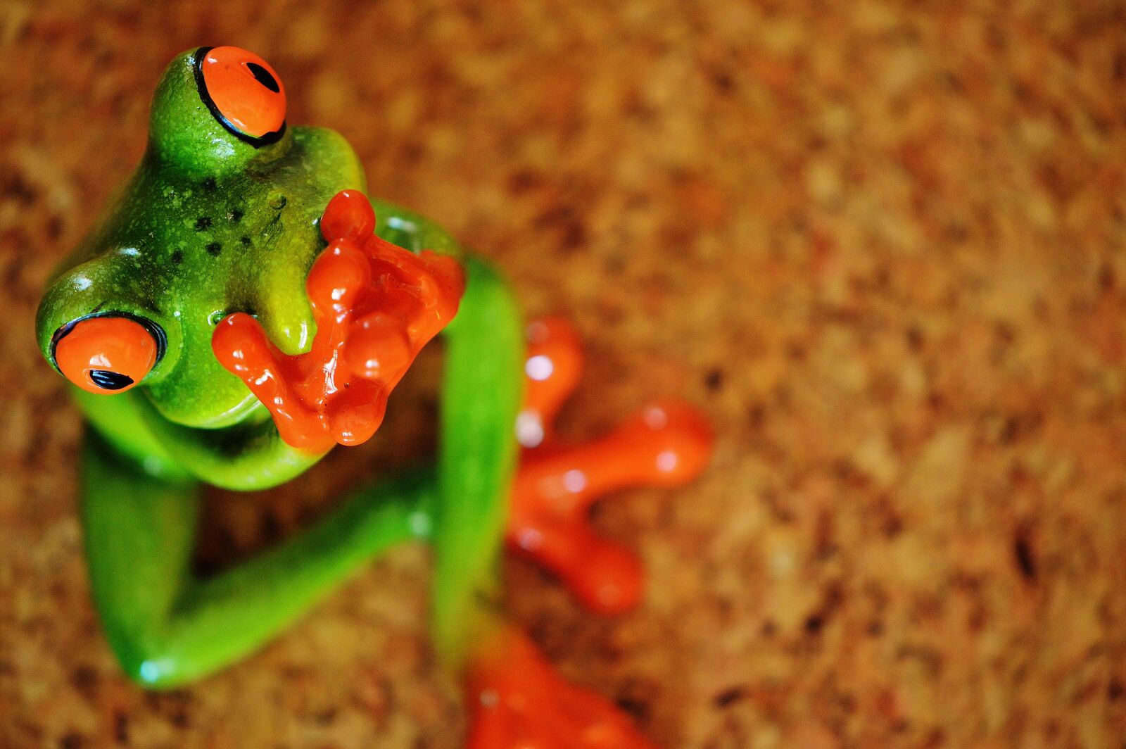 Nikon D3200 sample photo. Frog, funny, figure photography