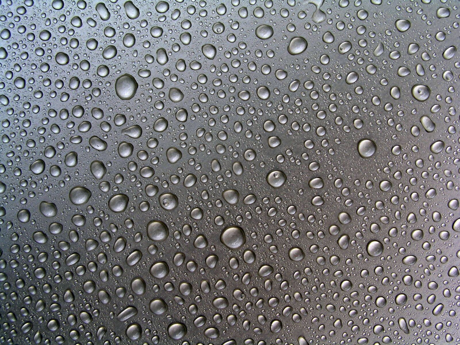 Olympus C5050Z sample photo. Waterdrops, background, texture photography