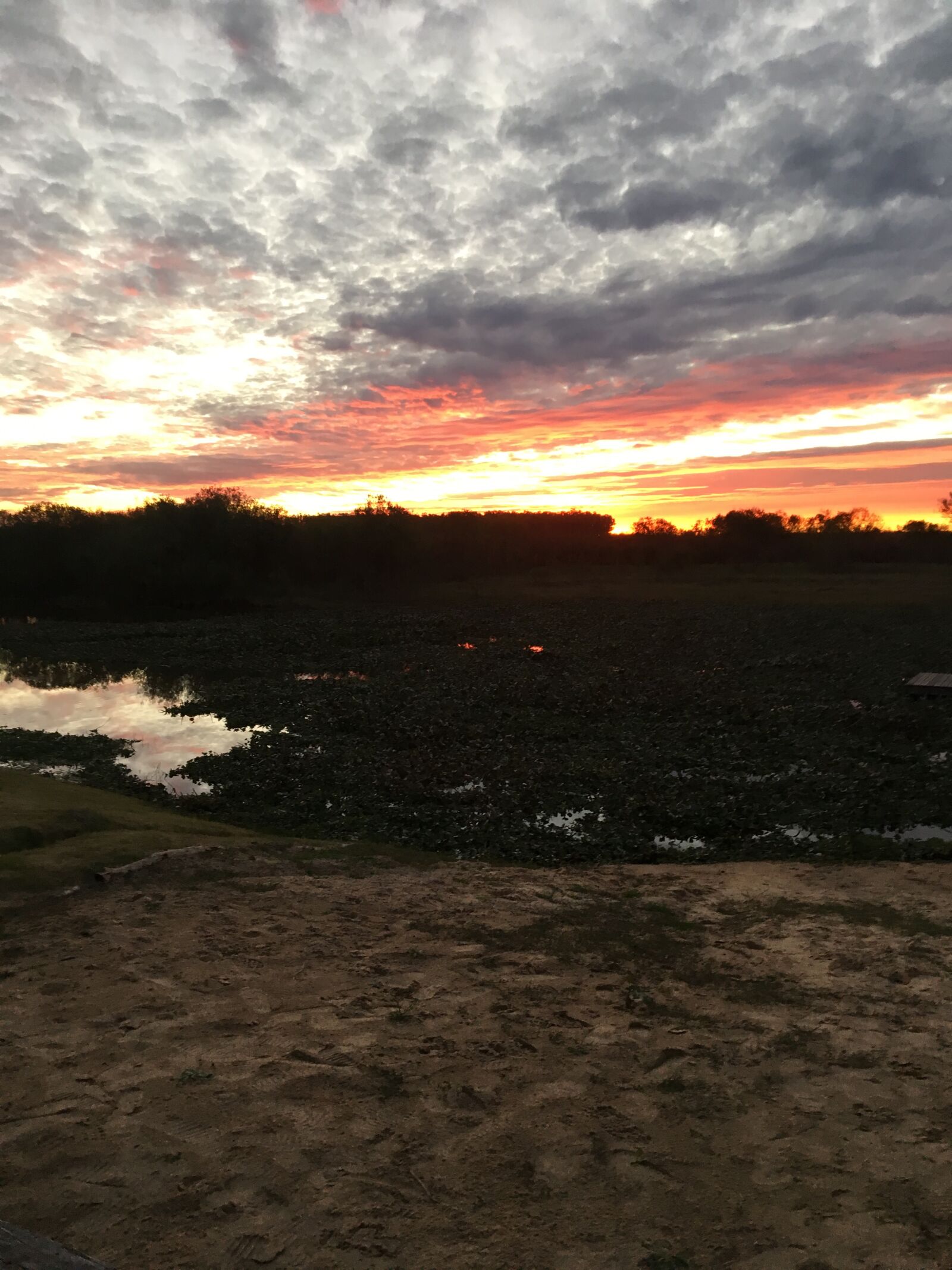 Apple iPhone 6s sample photo. Clouds, sunset, sky photography