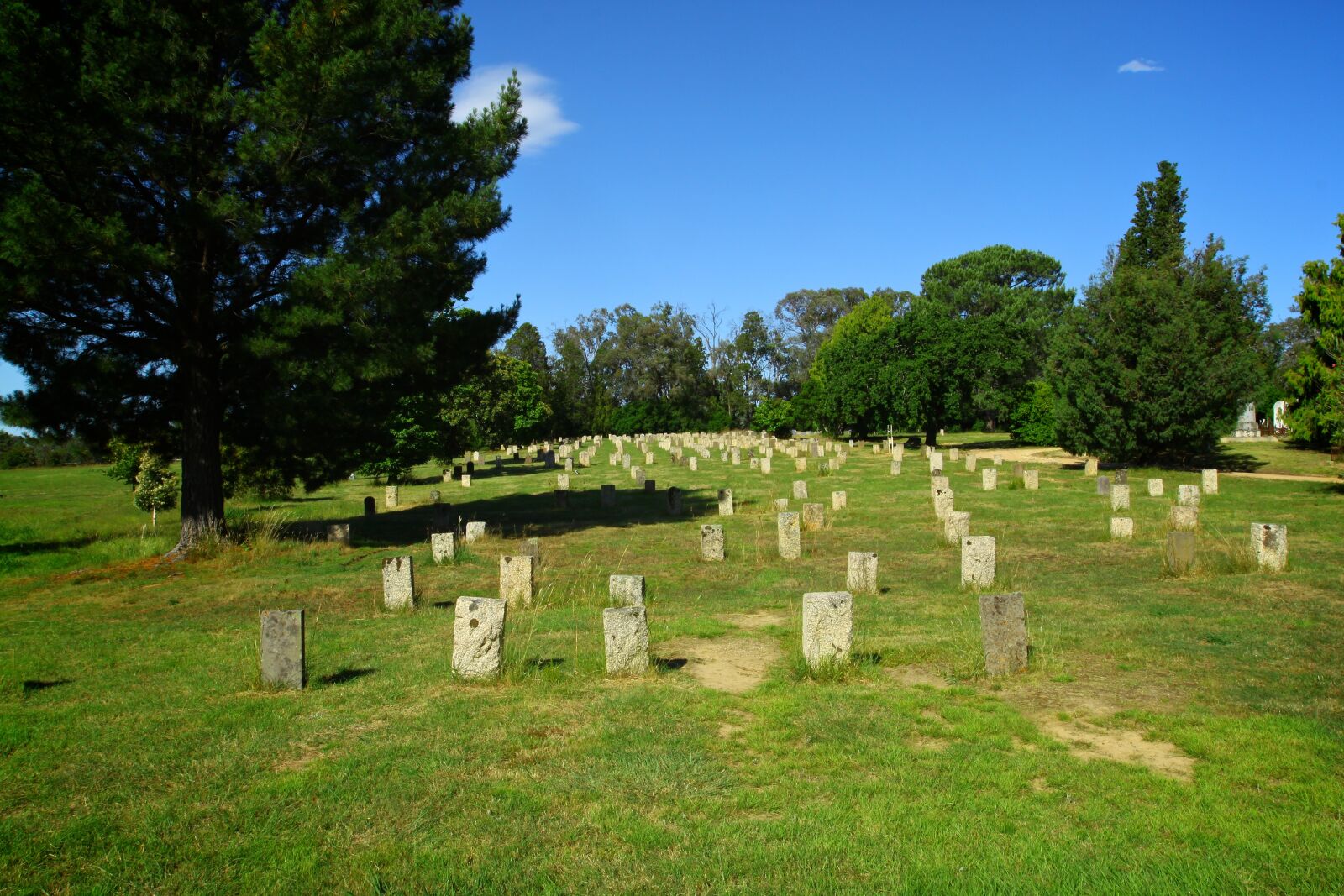 Canon EOS 500D (EOS Rebel T1i / EOS Kiss X3) sample photo. Cemetery, headstones, graveyard photography