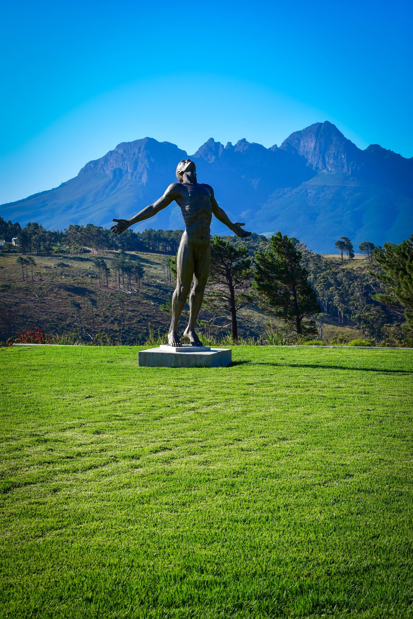 Nikon D5500 sample photo. Statue, mountain, vineyard photography