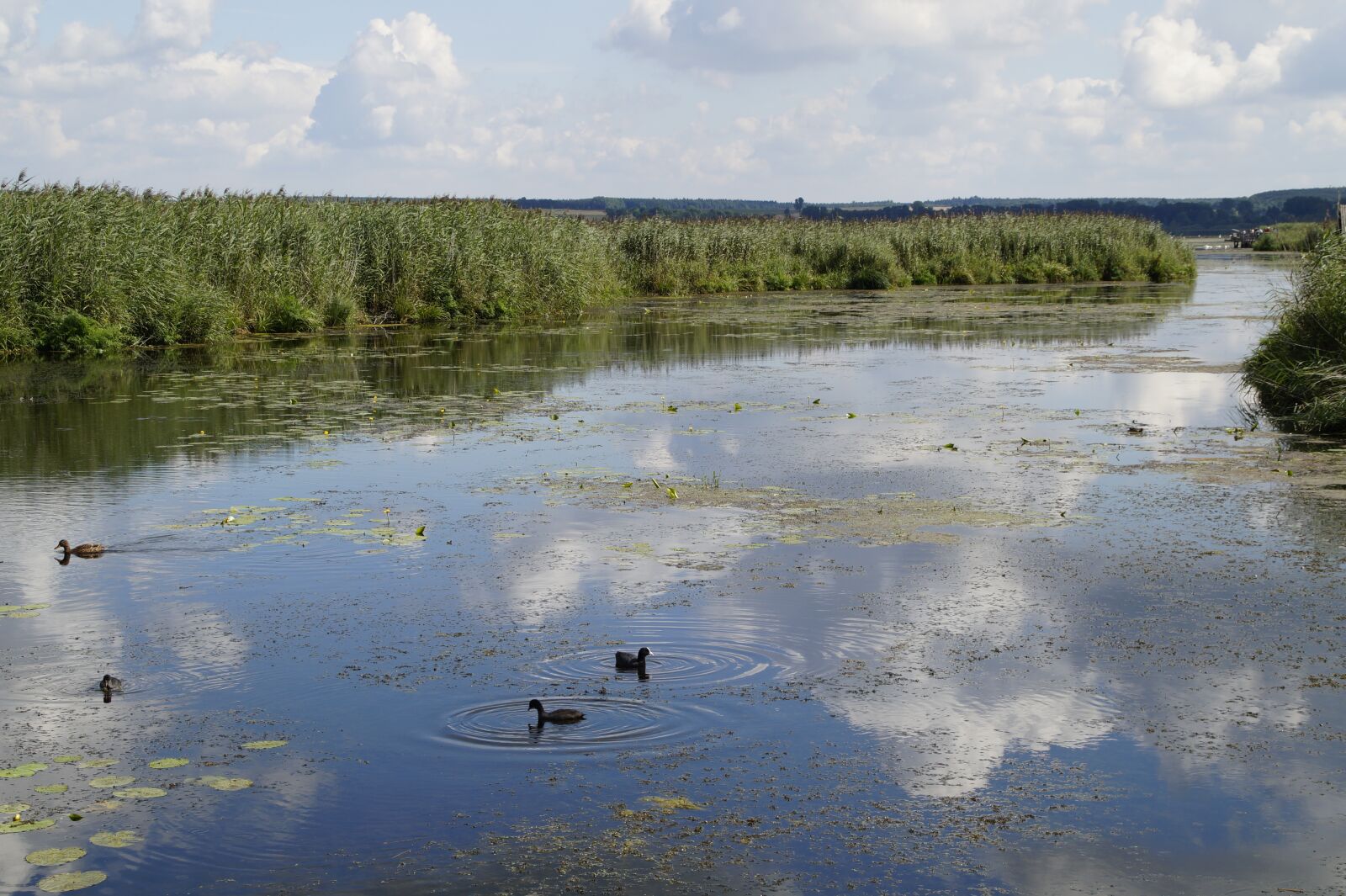 Sony SLT-A58 sample photo. Landscape, spring lake, nature photography
