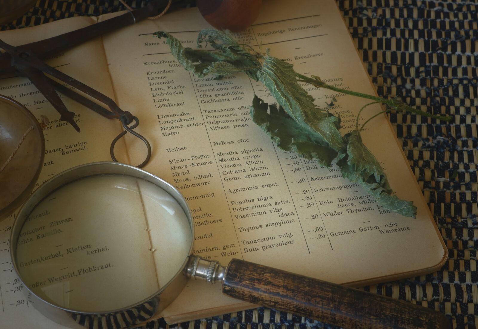Canon EOS 750D (EOS Rebel T6i / EOS Kiss X8i) sample photo. Medical, recipe, herbs photography