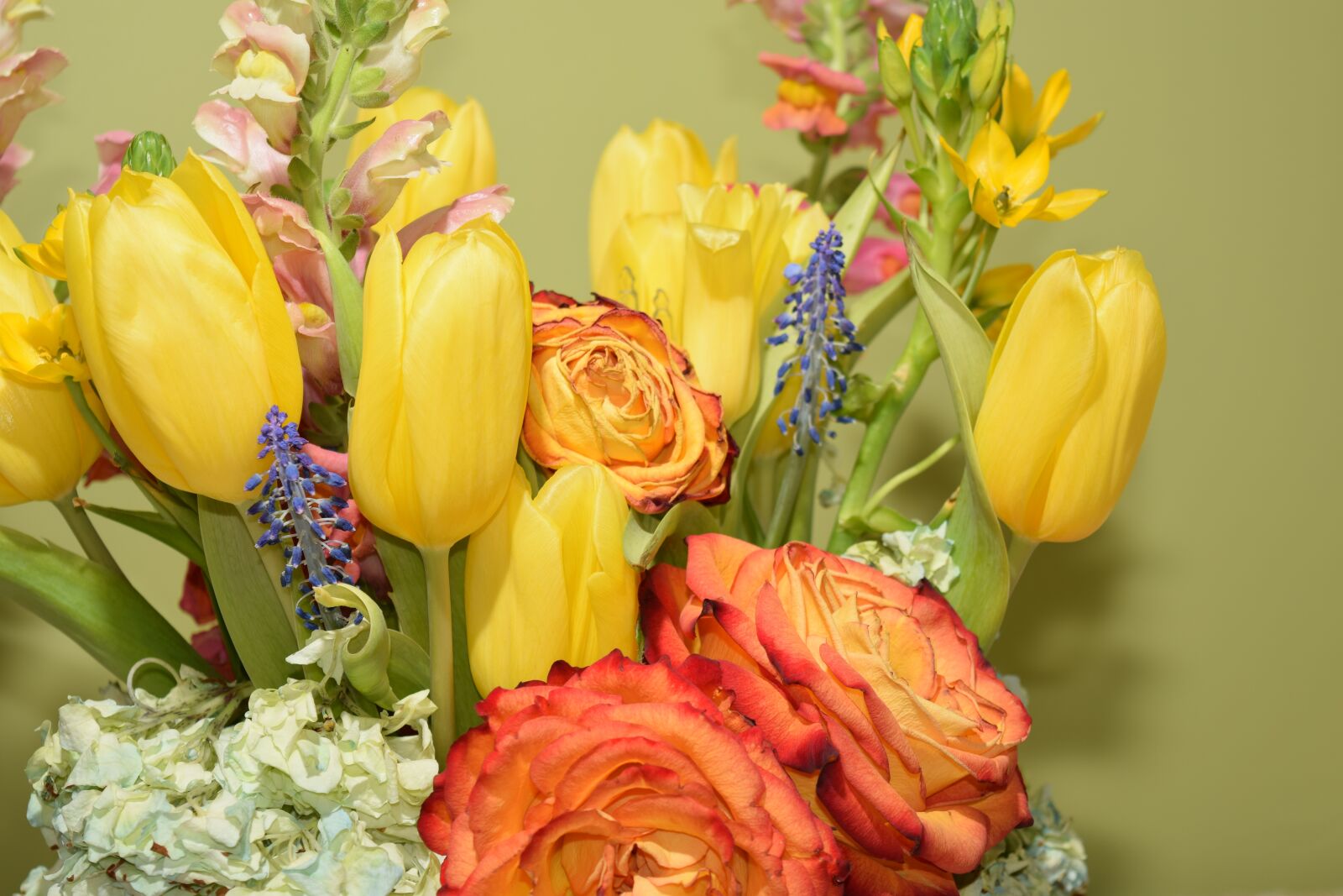 Nikon D3300 sample photo. Flowers, arrangement, bouquet photography