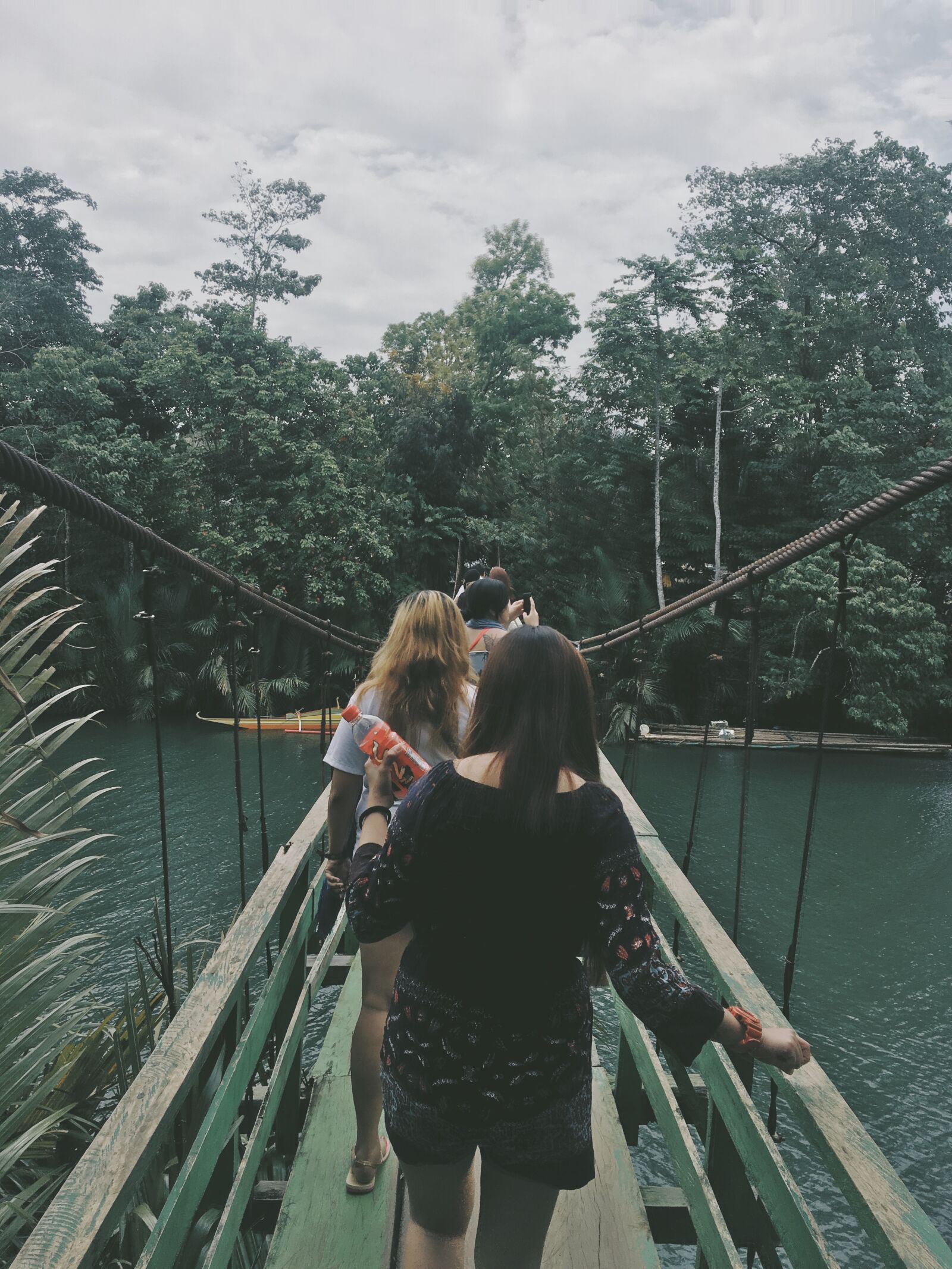 Apple iPhone 6s sample photo. Hanging, bridge, mothernature, natue photography