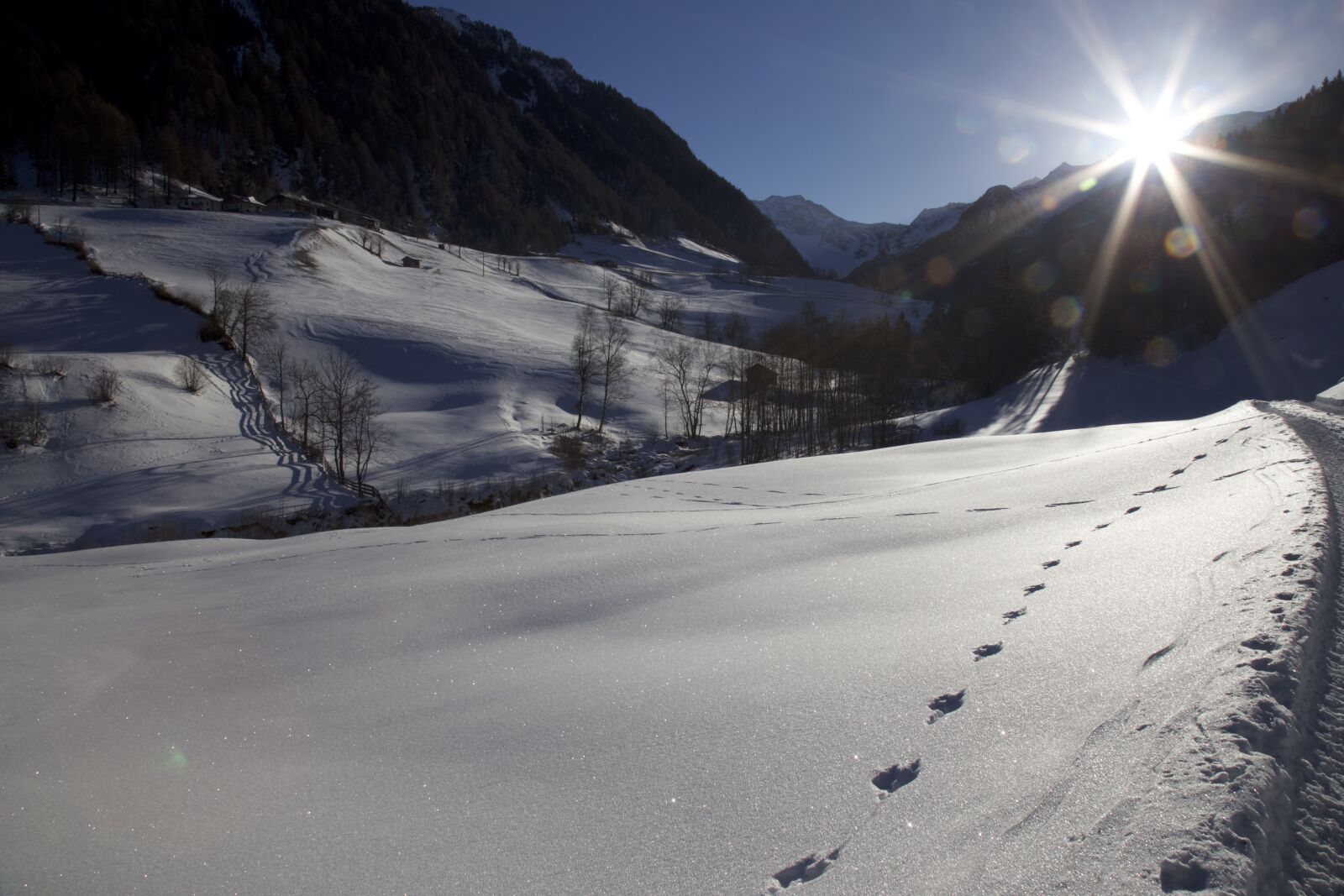 Canon EOS 6D + Canon EF 24-105mm F4L IS USM sample photo. Backlighting, trace, snow photography