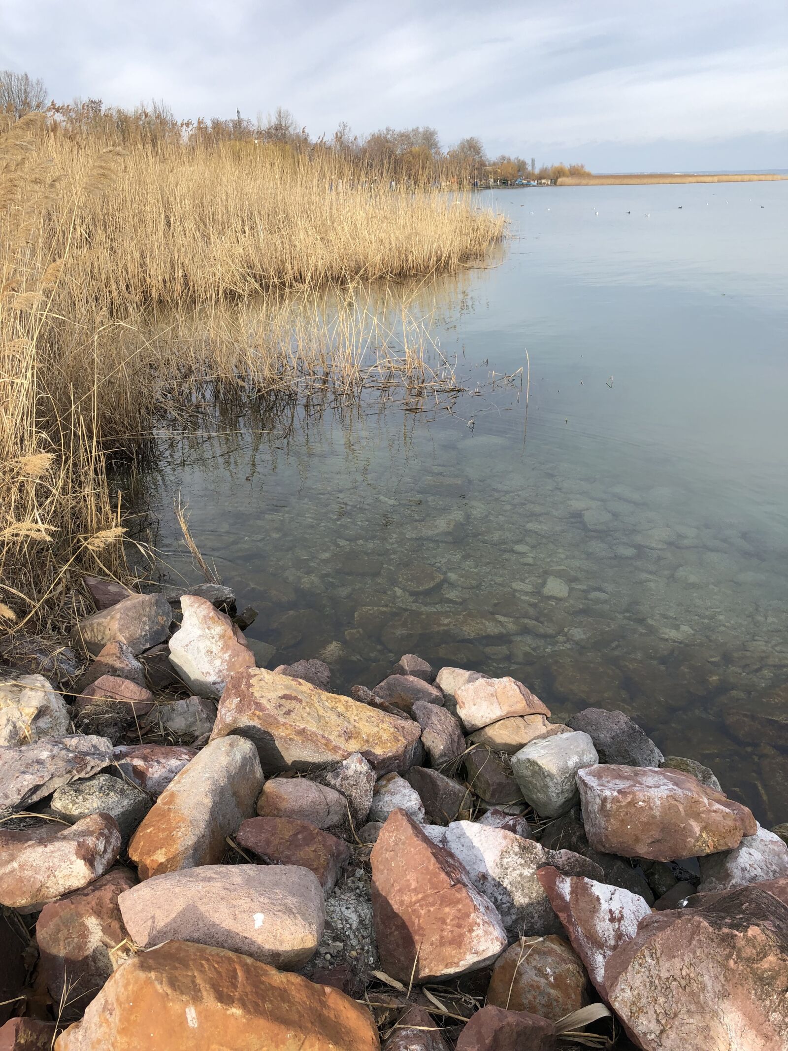 iPhone 8 Plus back dual camera 3.99mm f/1.8 sample photo. Lake, cold, rock photography