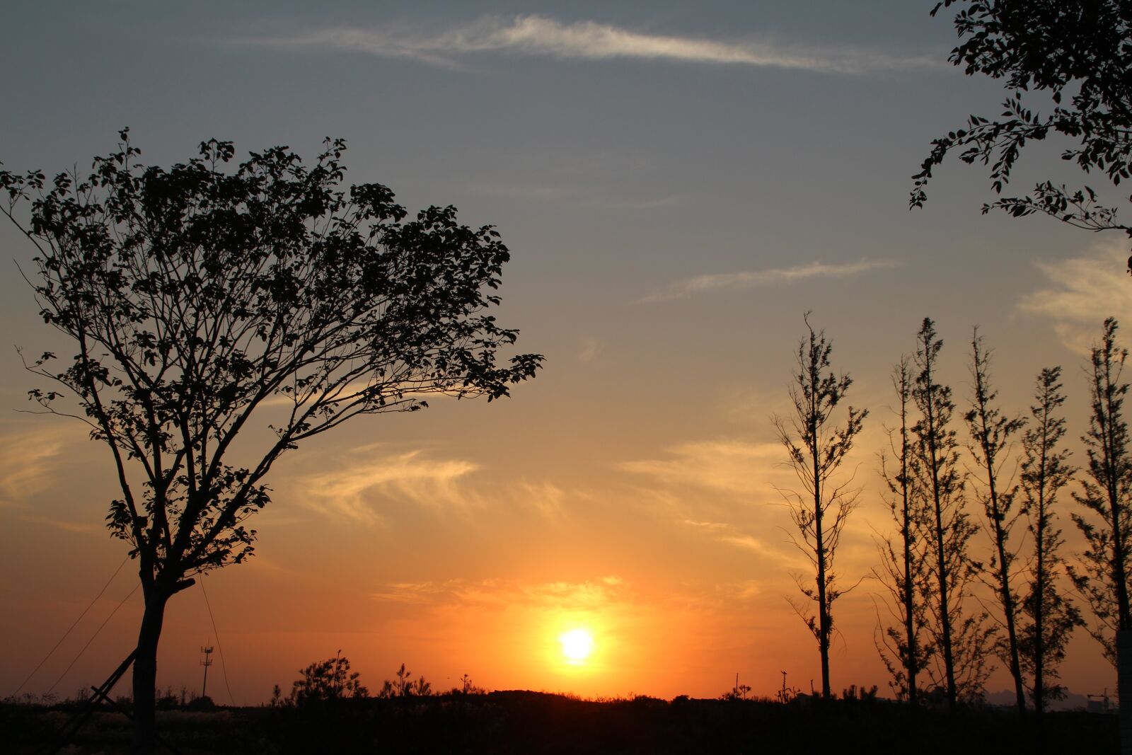 Canon EOS 650D (EOS Rebel T4i / EOS Kiss X6i) sample photo. Sunset, qingdao, withered photography