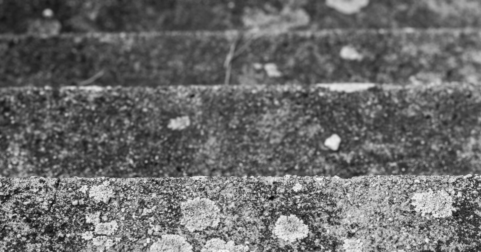 Canon EOS 700D (EOS Rebel T5i / EOS Kiss X7i) + Canon EF 50mm F1.8 STM sample photo. Stairs, walking, walk photography