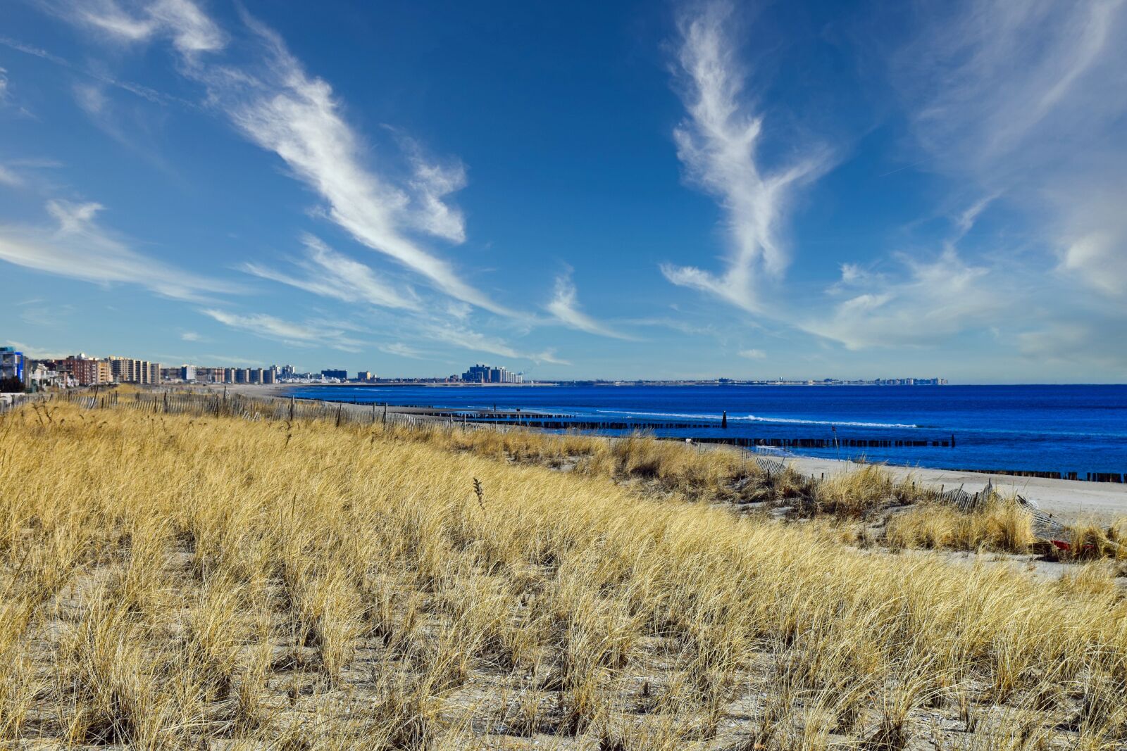 Nikon D3300 sample photo. Beach grass, rockaway beach photography