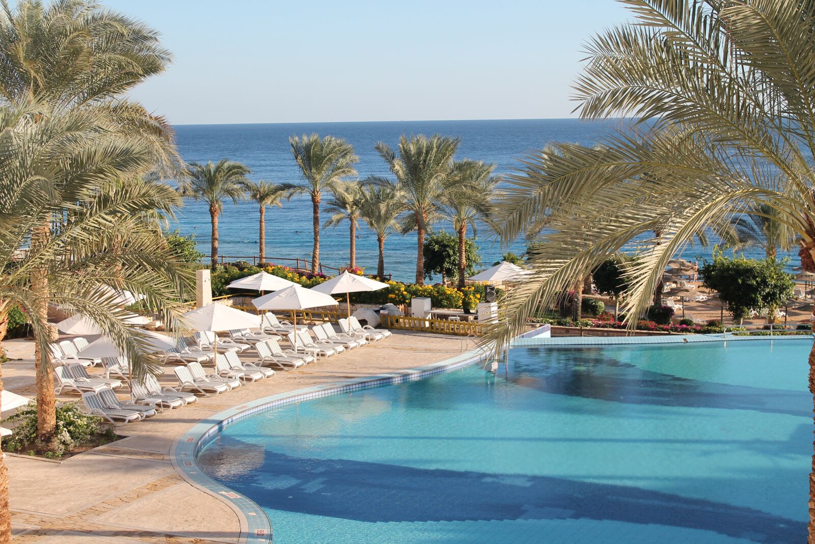 Canon EOS 1100D (EOS Rebel T3 / EOS Kiss X50) sample photo. Egypt, water, tropical photography