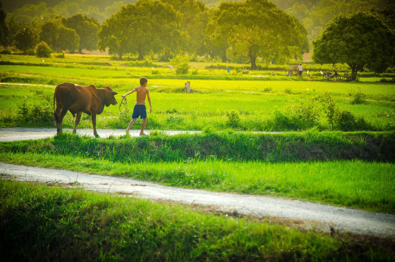 Nikon D7000 sample photo. Childhood, memory, child photography