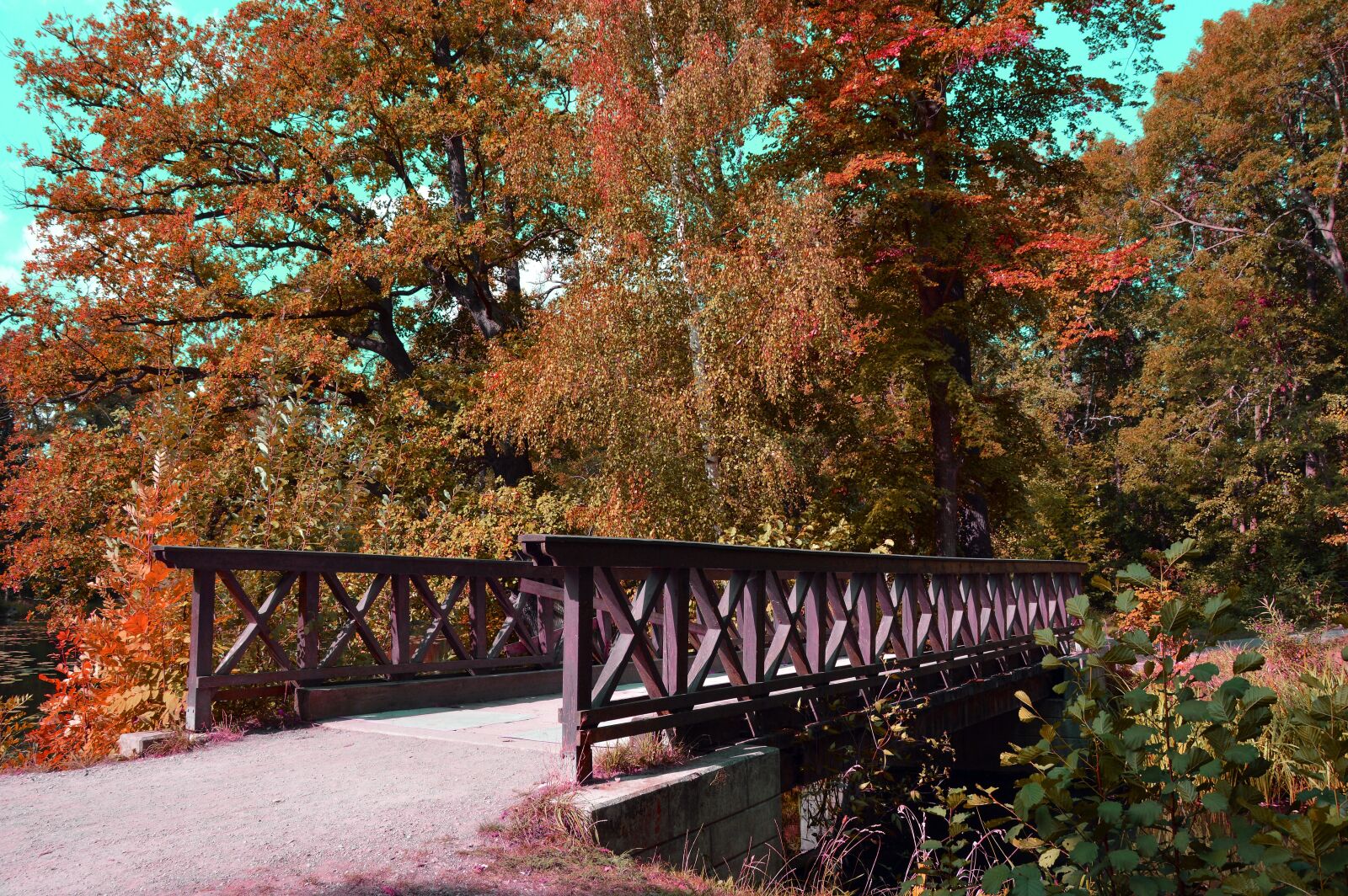 Nikon D3200 sample photo. Bridge, park, trees photography