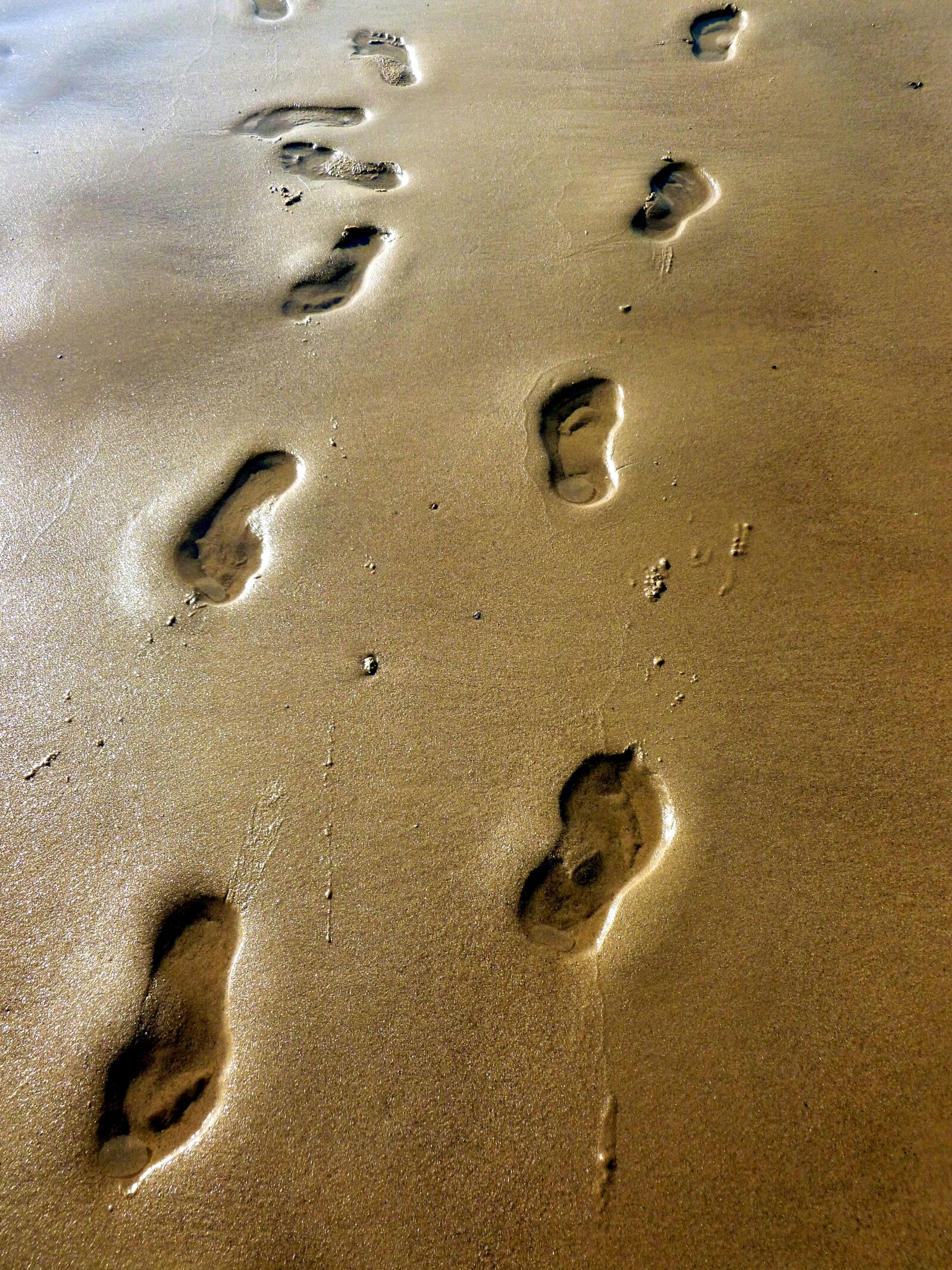 Panasonic DMC-FS37 sample photo. Beach, sand, traces photography