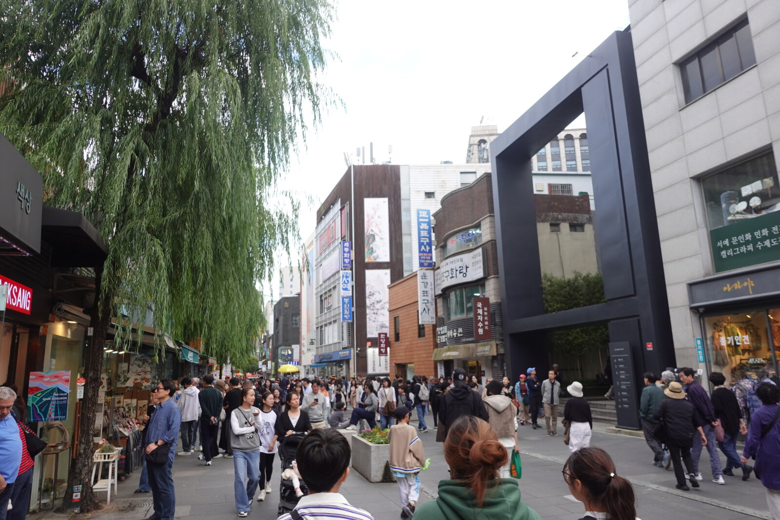Sony ZV-1 sample photo
