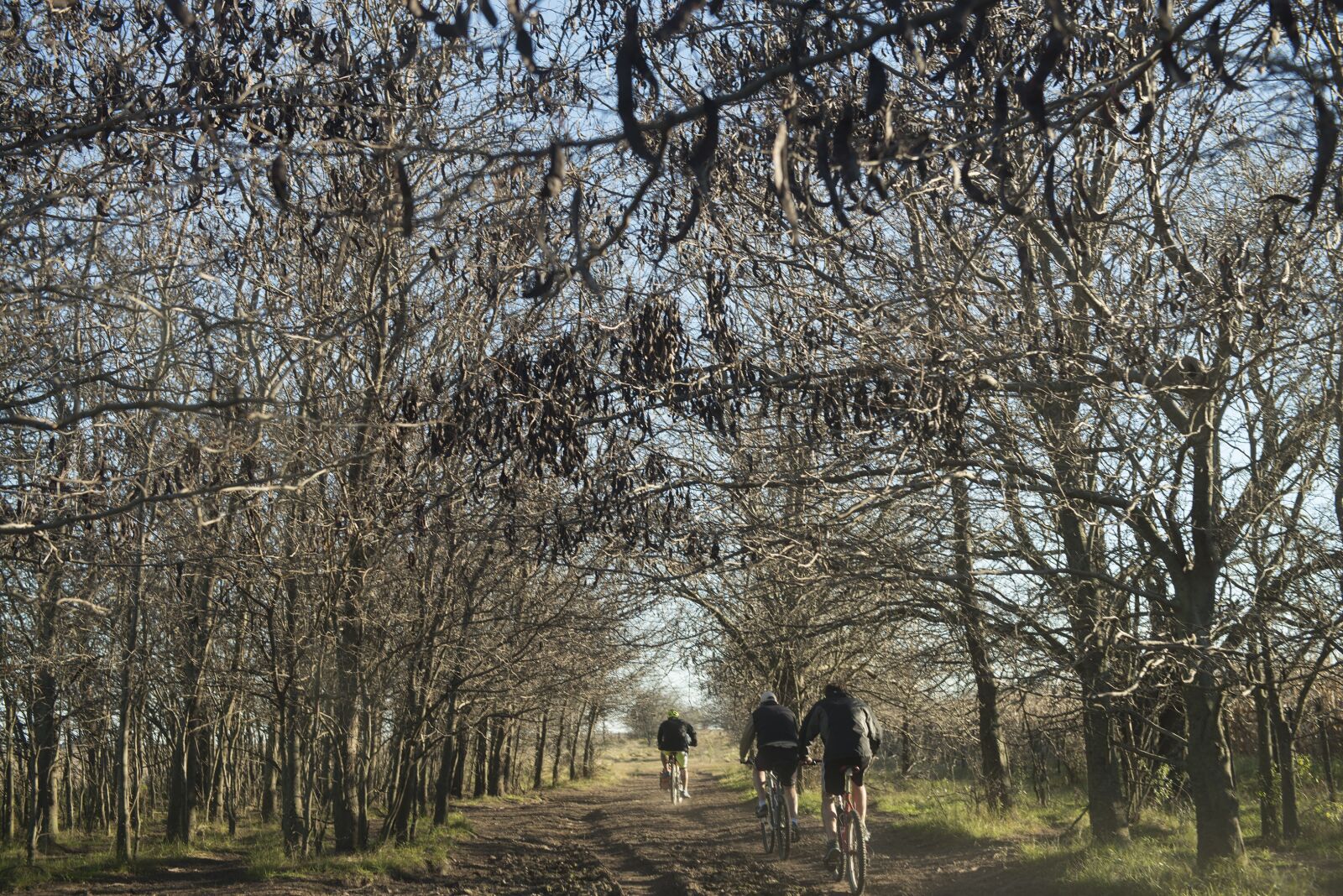 Nikon D800 sample photo. Cyclists, adventure, bicycle photography