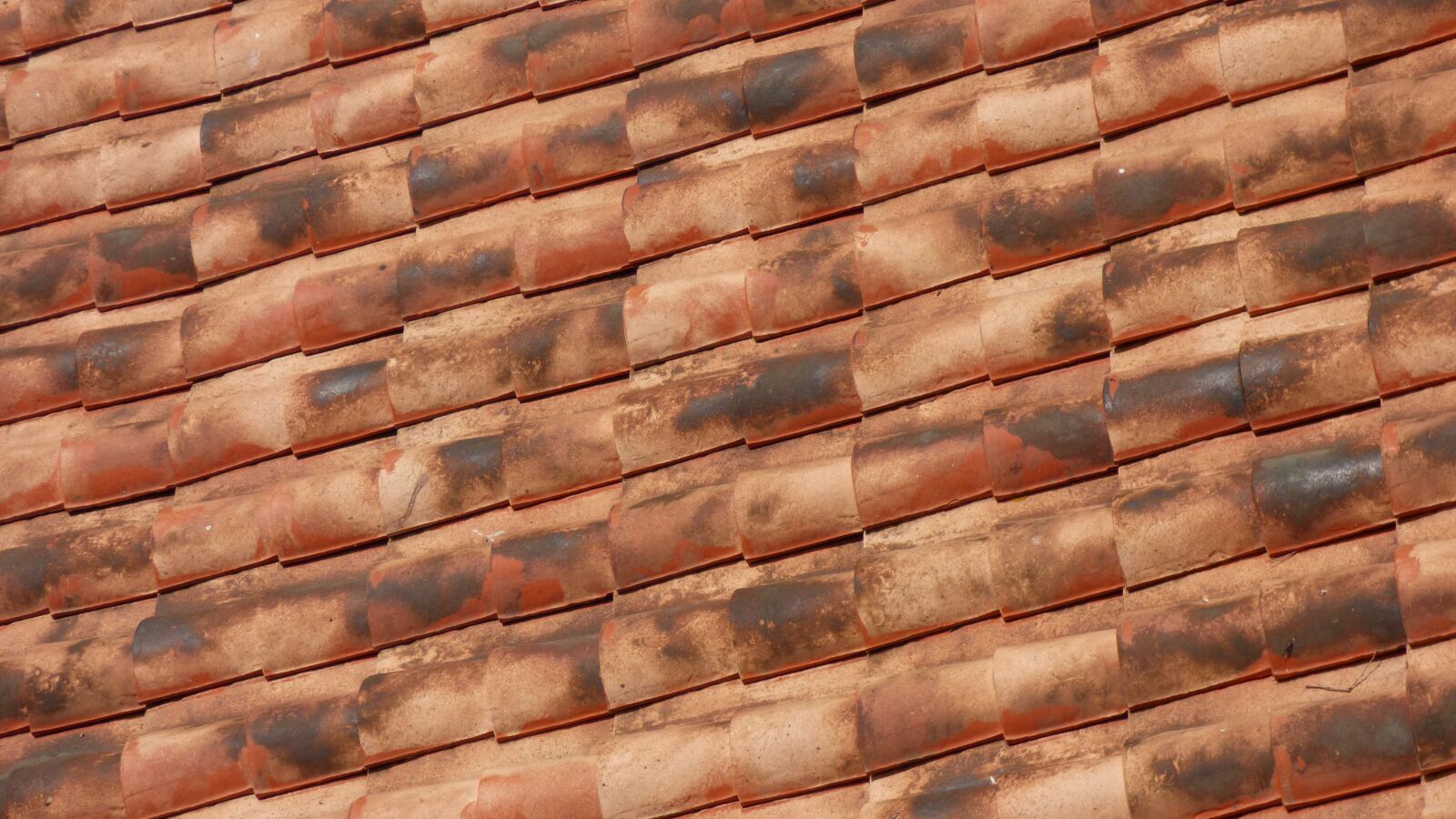 Panasonic DMC-FZ72 sample photo. Roof, tiles, red photography