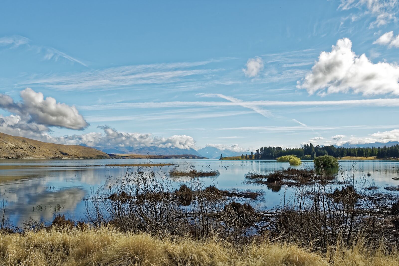 Nikon D500 sample photo. New zealand, lake tekapo photography