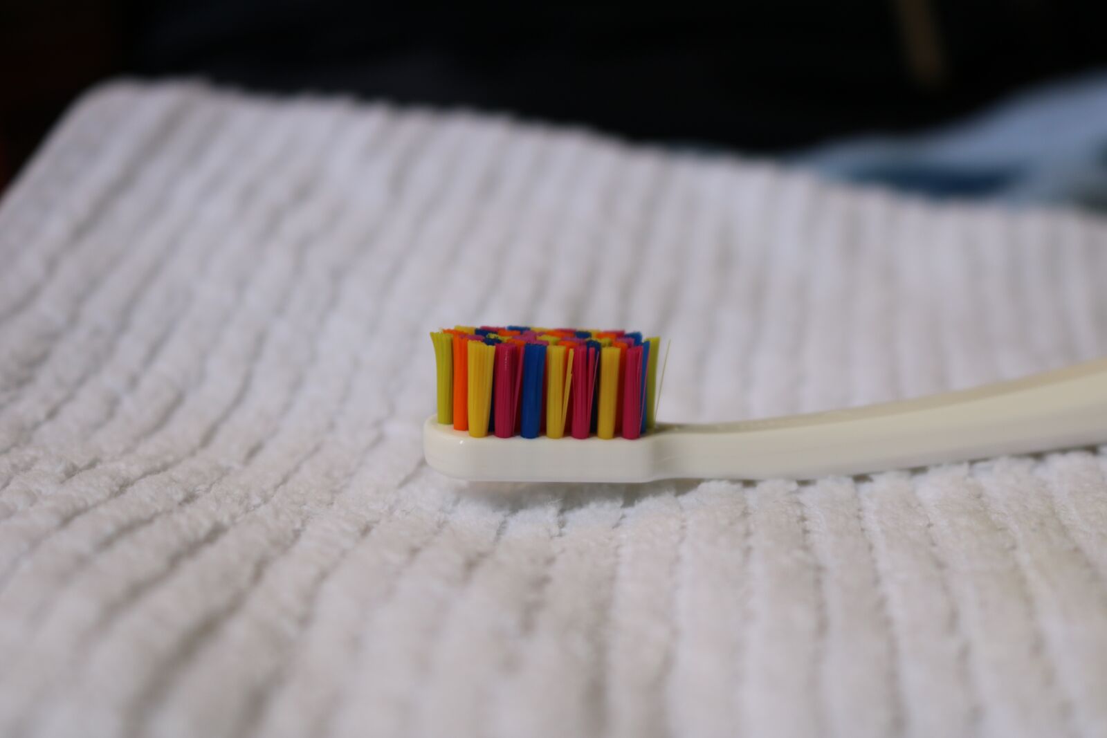 Canon EOS 750D (EOS Rebel T6i / EOS Kiss X8i) sample photo. Brush, tooth, soft photography