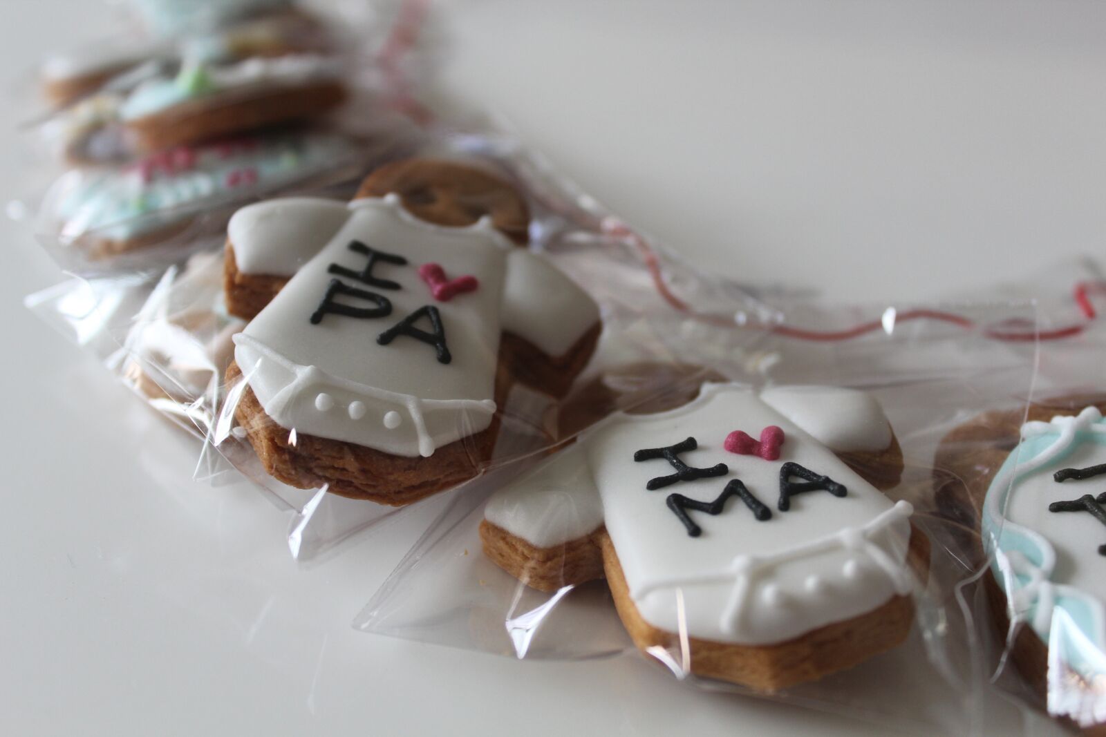 Canon EOS 600D (Rebel EOS T3i / EOS Kiss X5) sample photo. Biscuit, received salivary, handmade photography