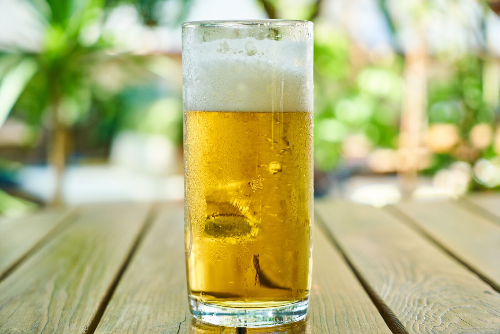 Sony a7R II sample photo. Beer, glass, alcohol photography