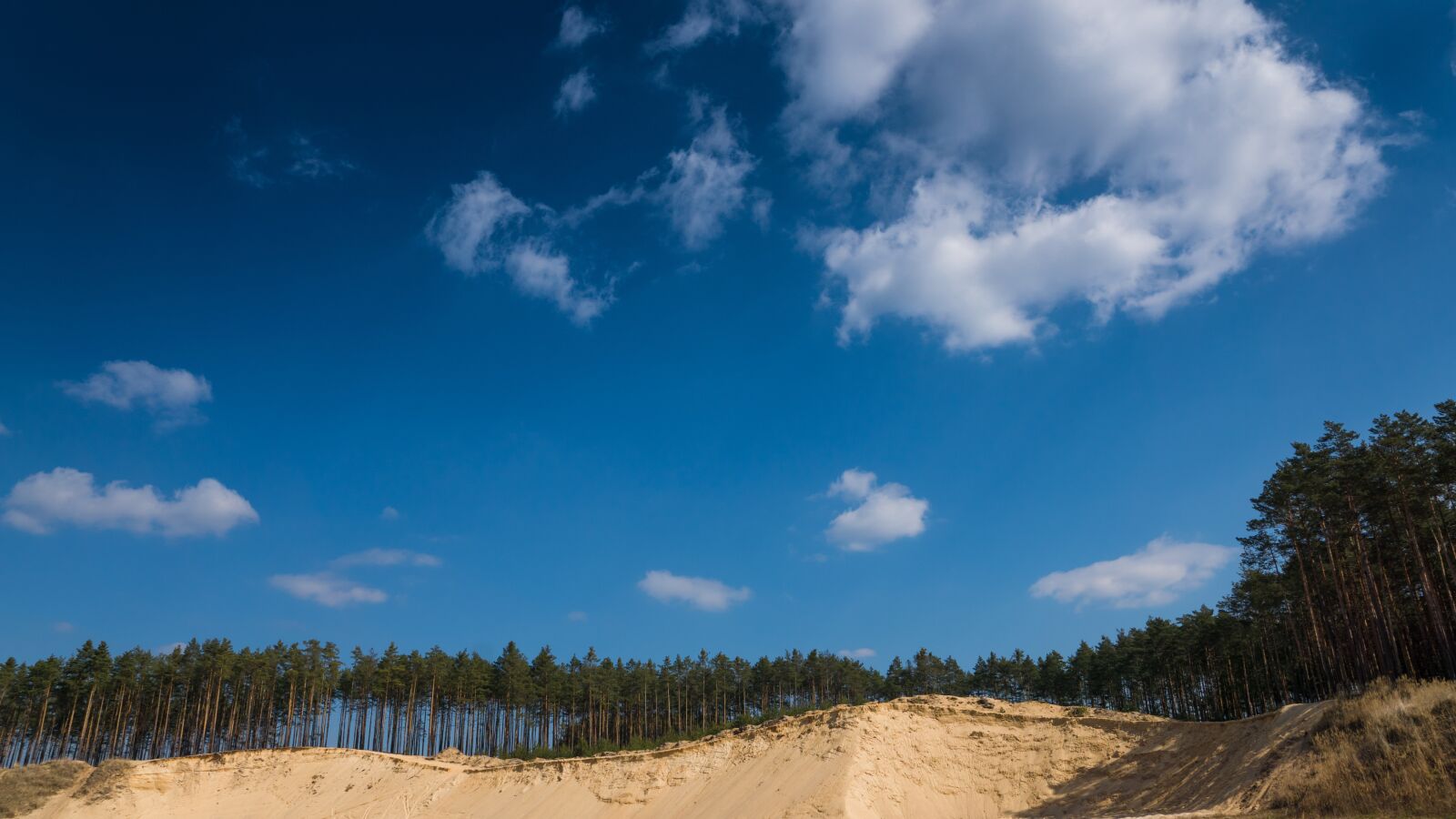 Sony DT 16-50mm F2.8 SSM sample photo. Dune, forest, stobrawskie, woods photography