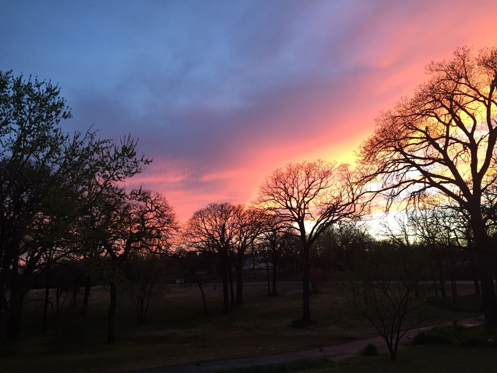 Apple iPhone 6 sample photo. Sunset, orange, sun photography