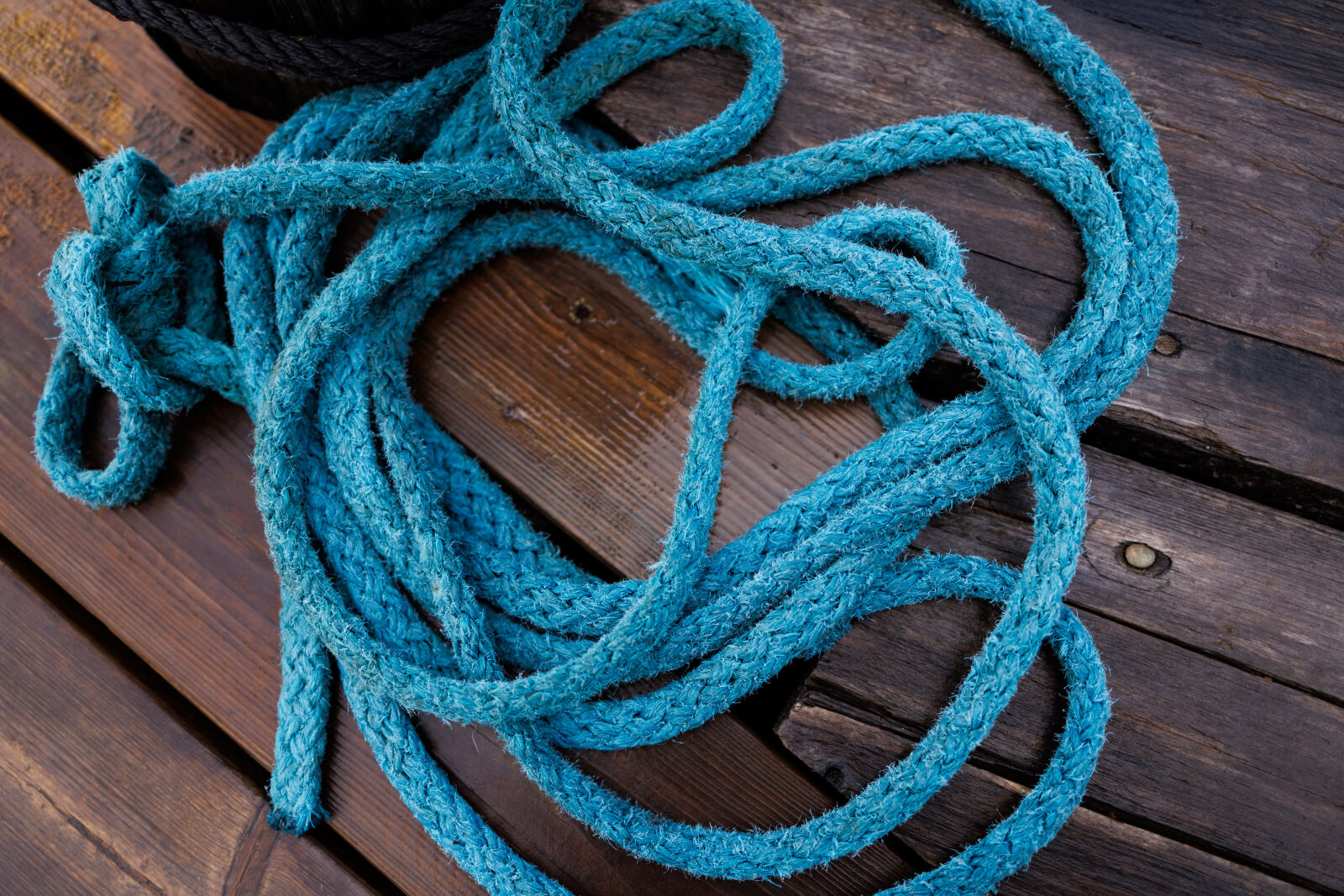 Canon RF 24mm F1.8 Macro IS STM sample photo. Old pier rope photography