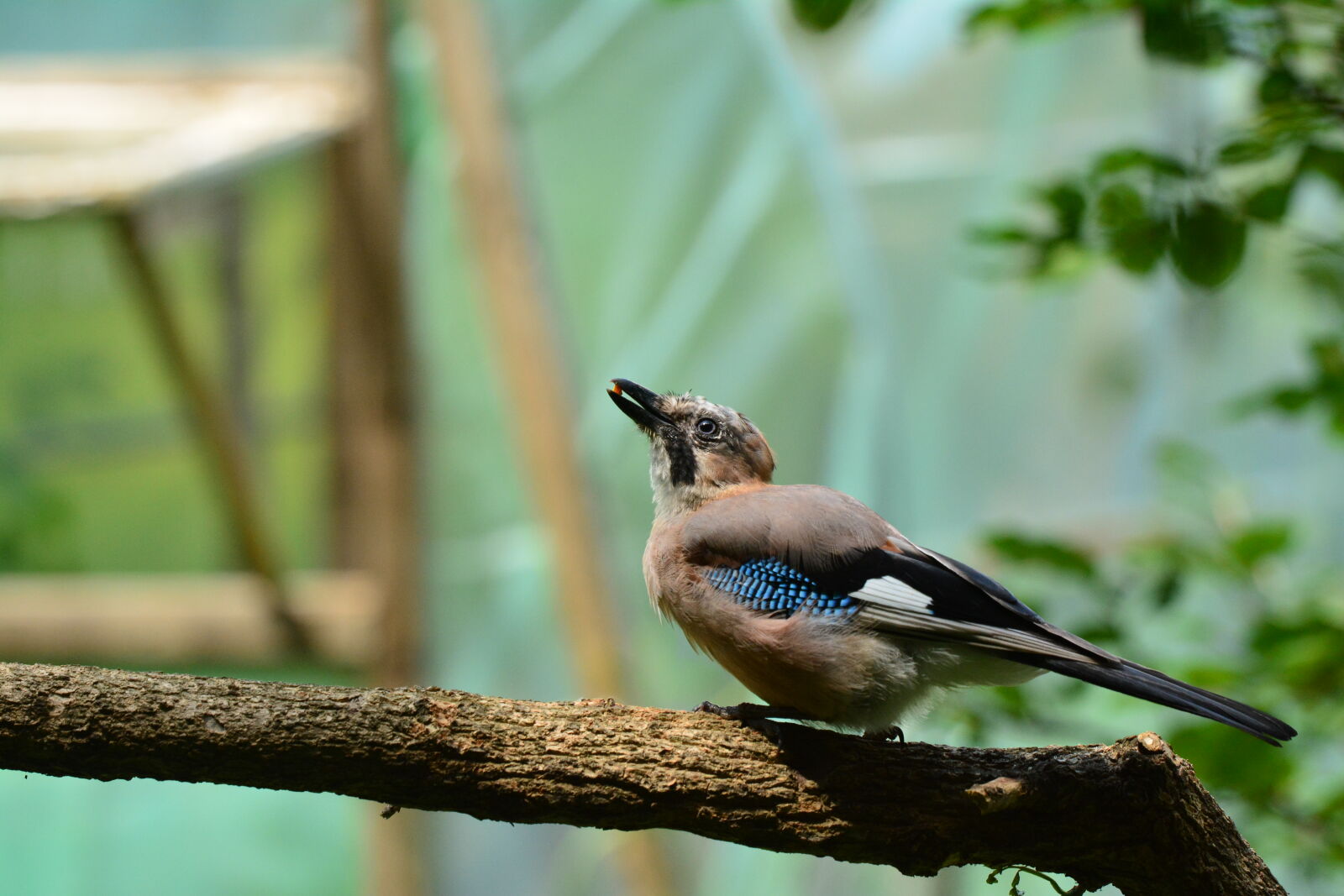 Nikon D7100 sample photo
