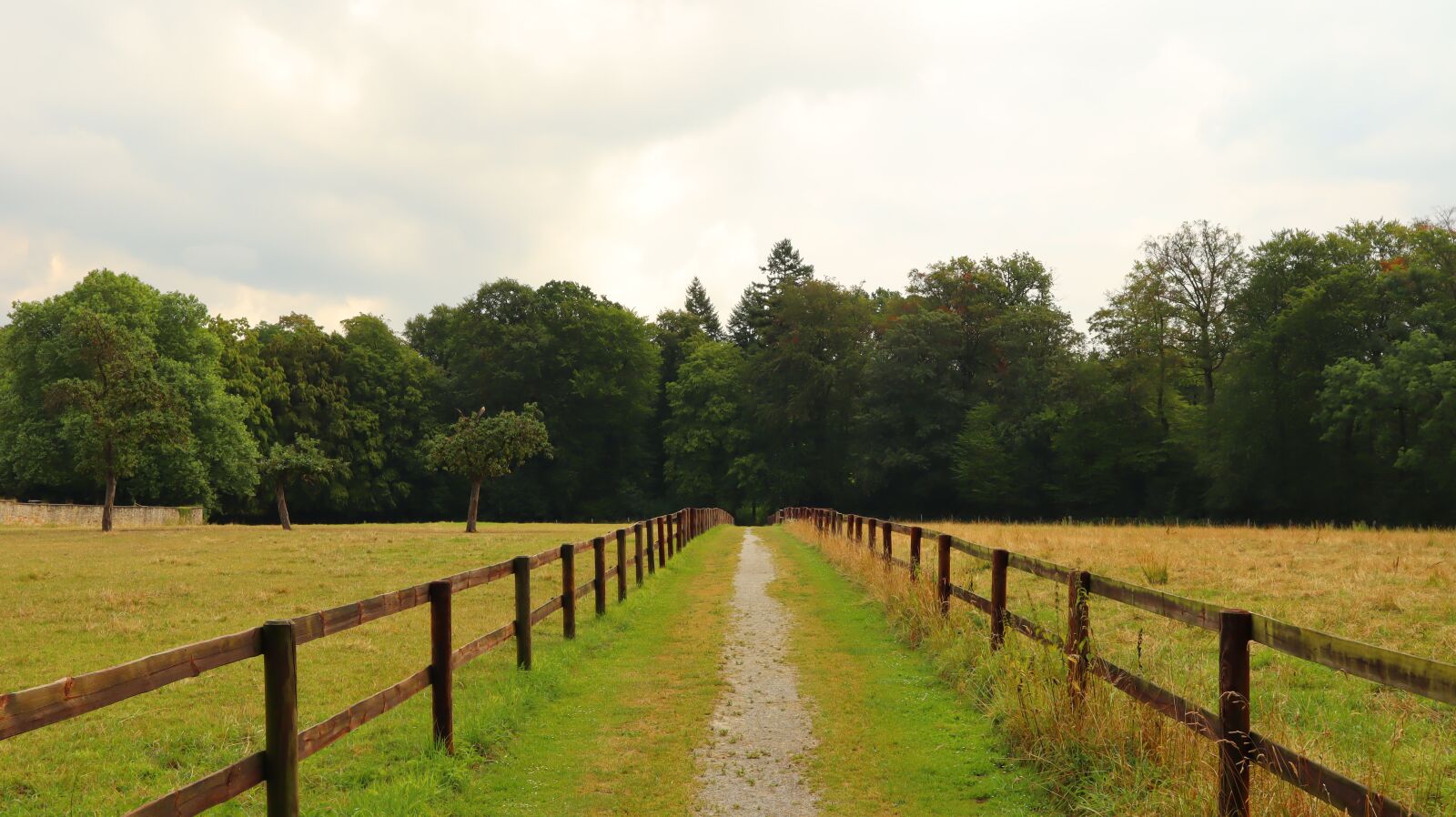 Canon EF-M 15-45mm F3.5-6.3 IS STM sample photo. Away, just, fence photography
