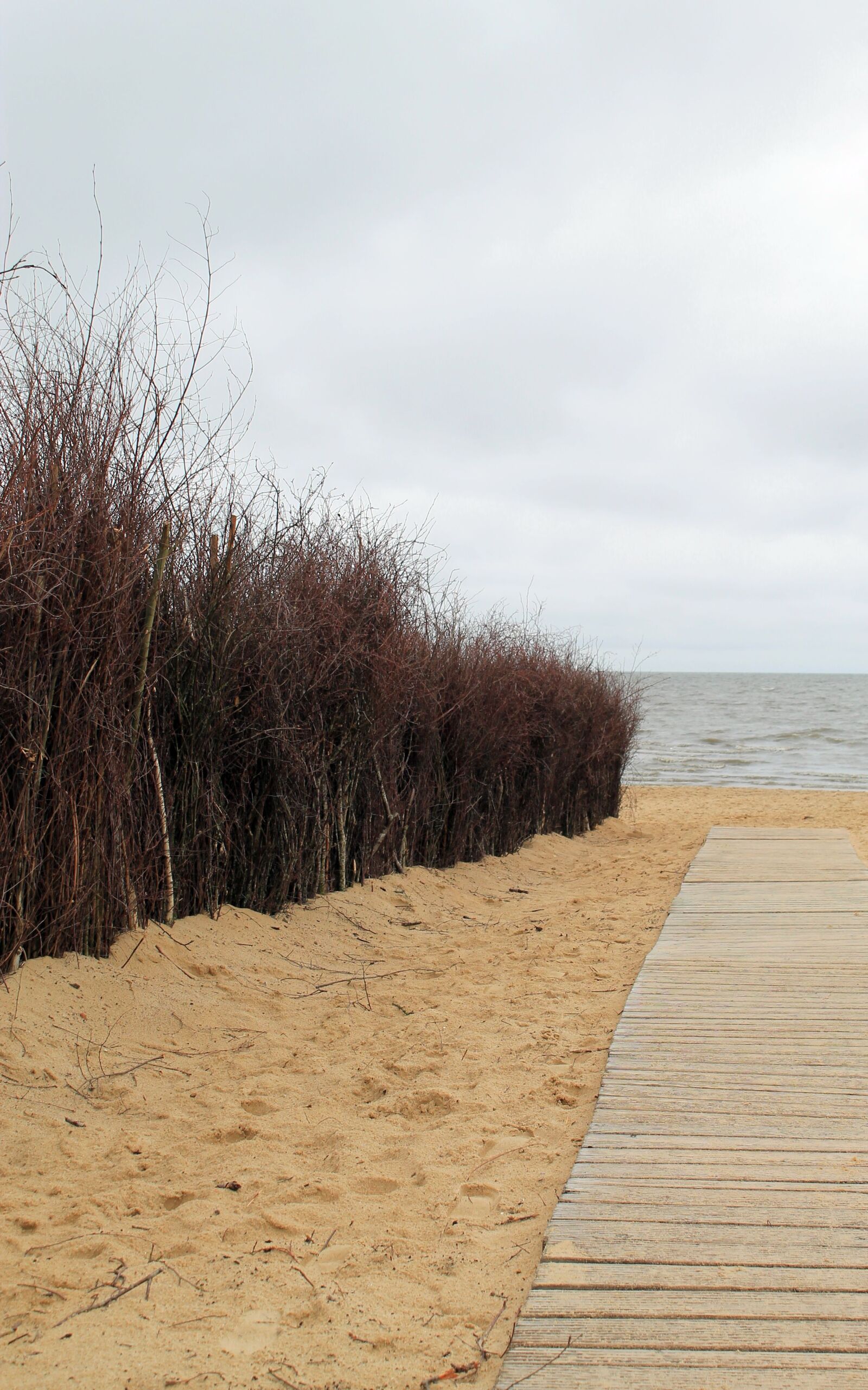 Canon EOS 1100D (EOS Rebel T3 / EOS Kiss X50) sample photo. Dunes, coast, beach photography