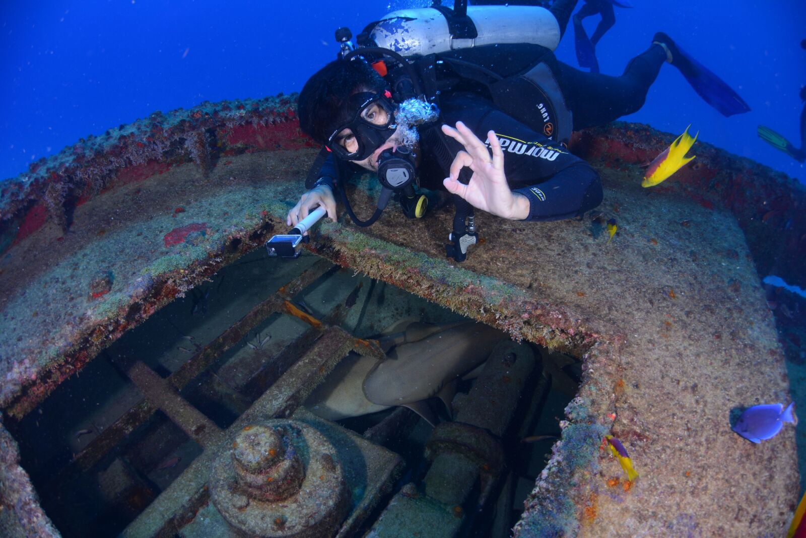Nikon D800 sample photo. Dive, blue, diving deep photography