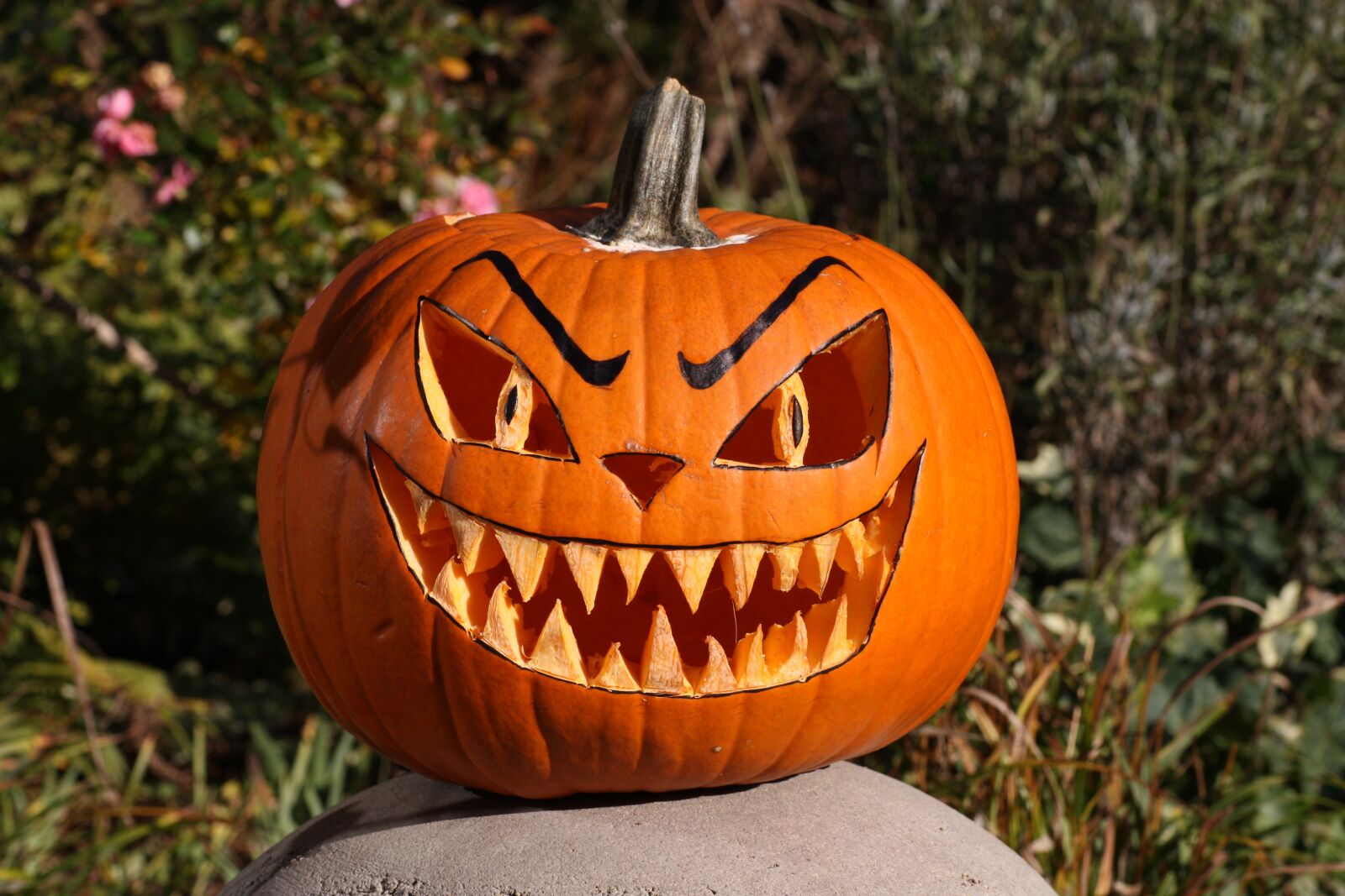Canon EOS 450D (EOS Rebel XSi / EOS Kiss X2) sample photo. Pumpkin, halloween, autumn photography