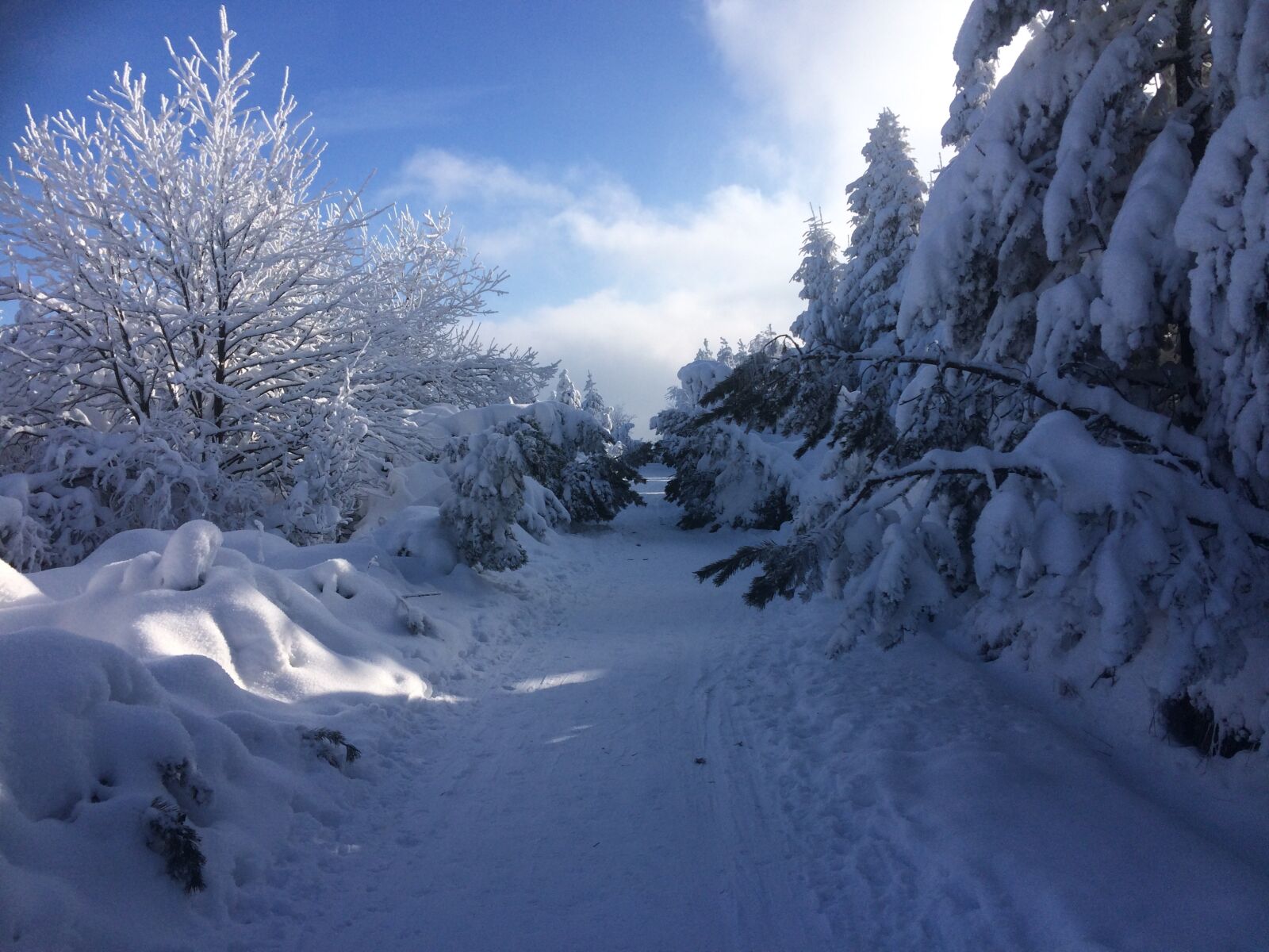 iPhone 5s back camera 4.15mm f/2.2 sample photo. Altenberg, winter, snow photography
