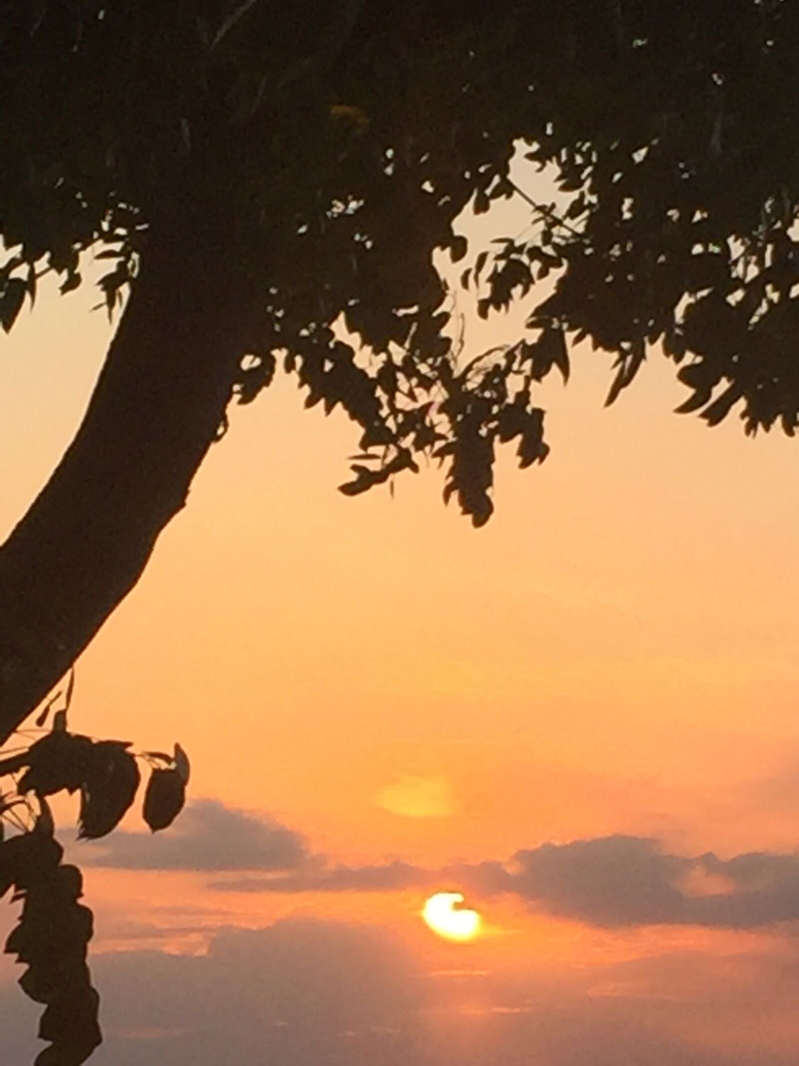 Apple iPhone 6 sample photo