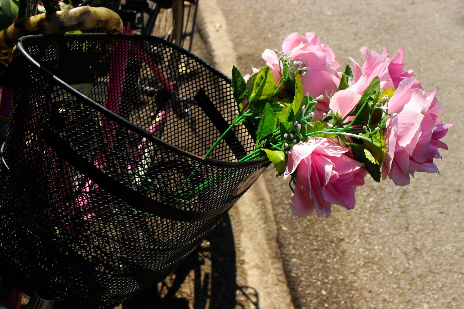 Canon EOS 700D (EOS Rebel T5i / EOS Kiss X7i) sample photo. Flowers, roses, floral photography