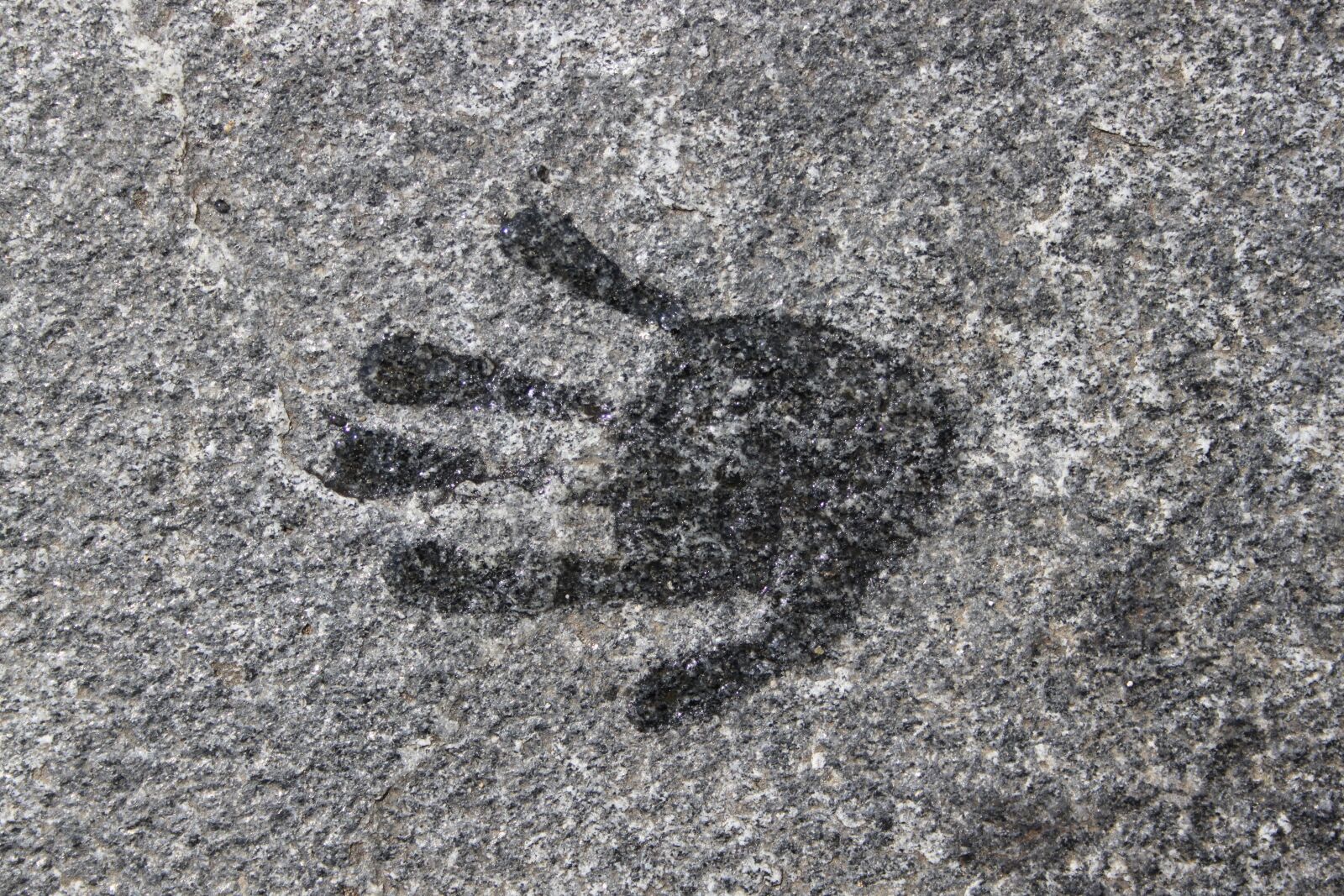 Canon EOS 500D (EOS Rebel T1i / EOS Kiss X3) sample photo. Stone, hand, handprint photography