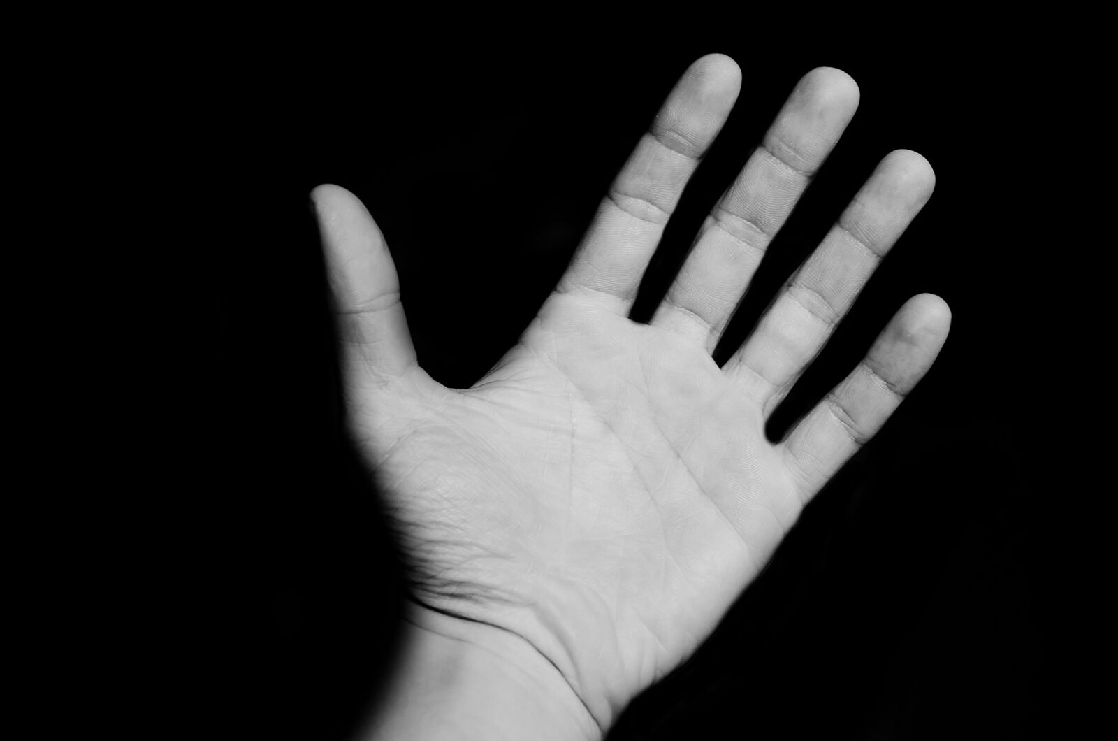 Nikon D5100 sample photo. Assistance, background, body, communication photography