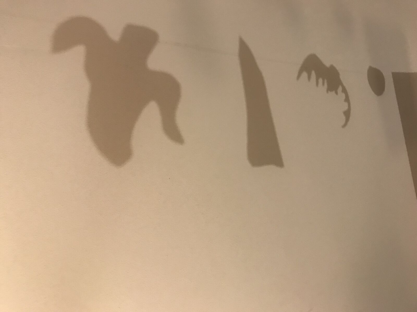 iPhone 7 back camera 3.99mm f/1.8 sample photo. Halloween, wall, shadow photography