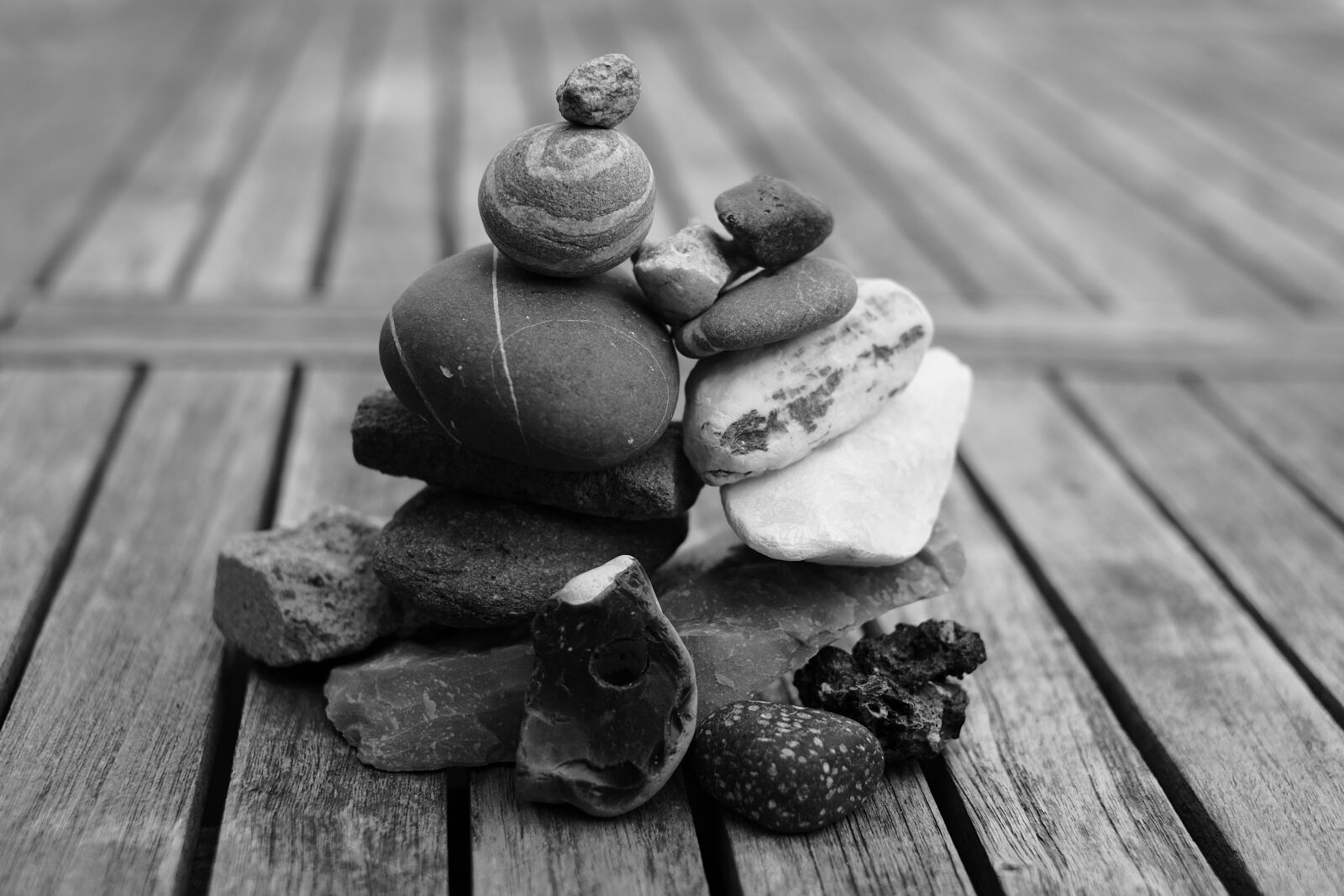 Fujifilm X-Pro1 + Fujifilm XF 35mm F1.4 R sample photo. Black, and, white, nature photography