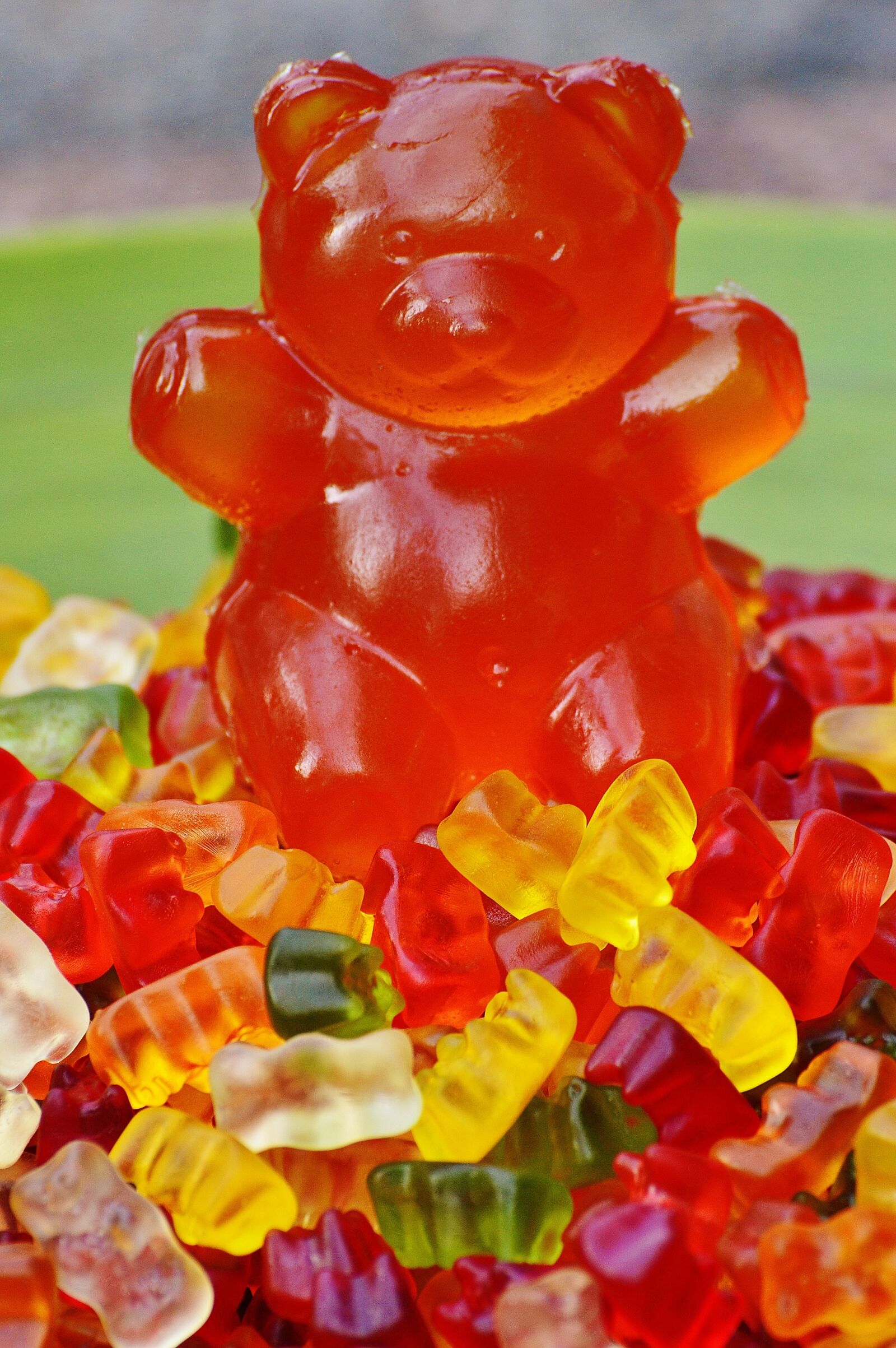 Nikon D3200 sample photo. Gummib rchen, giant rubber photography