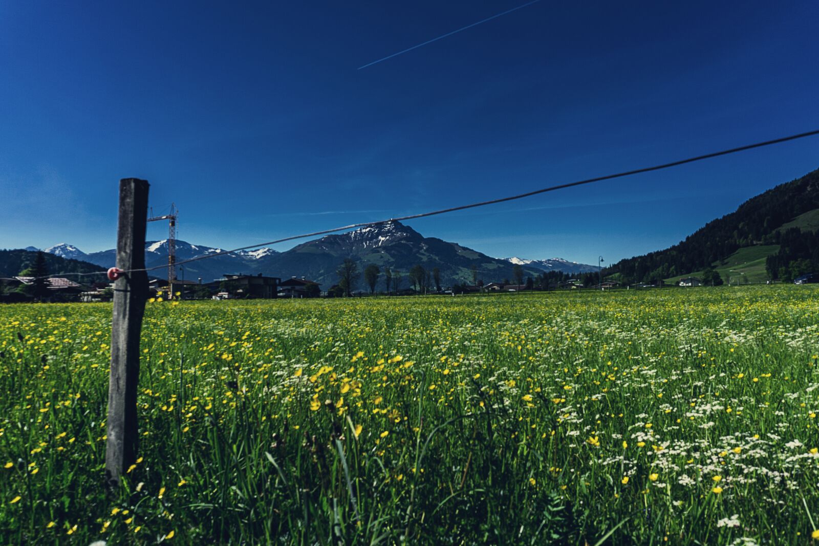 Sony a6000 sample photo. Meadow, landscape, summer photography