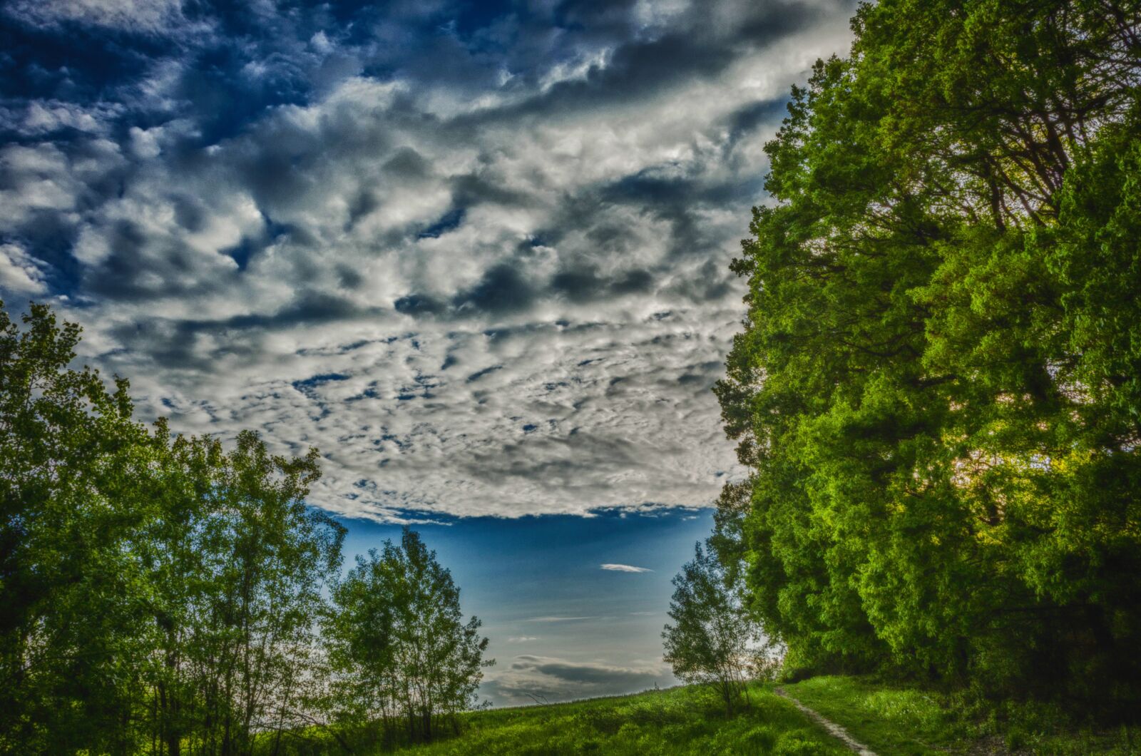 Nikon D5100 sample photo. Valley bolechowicka, nature, landscape photography