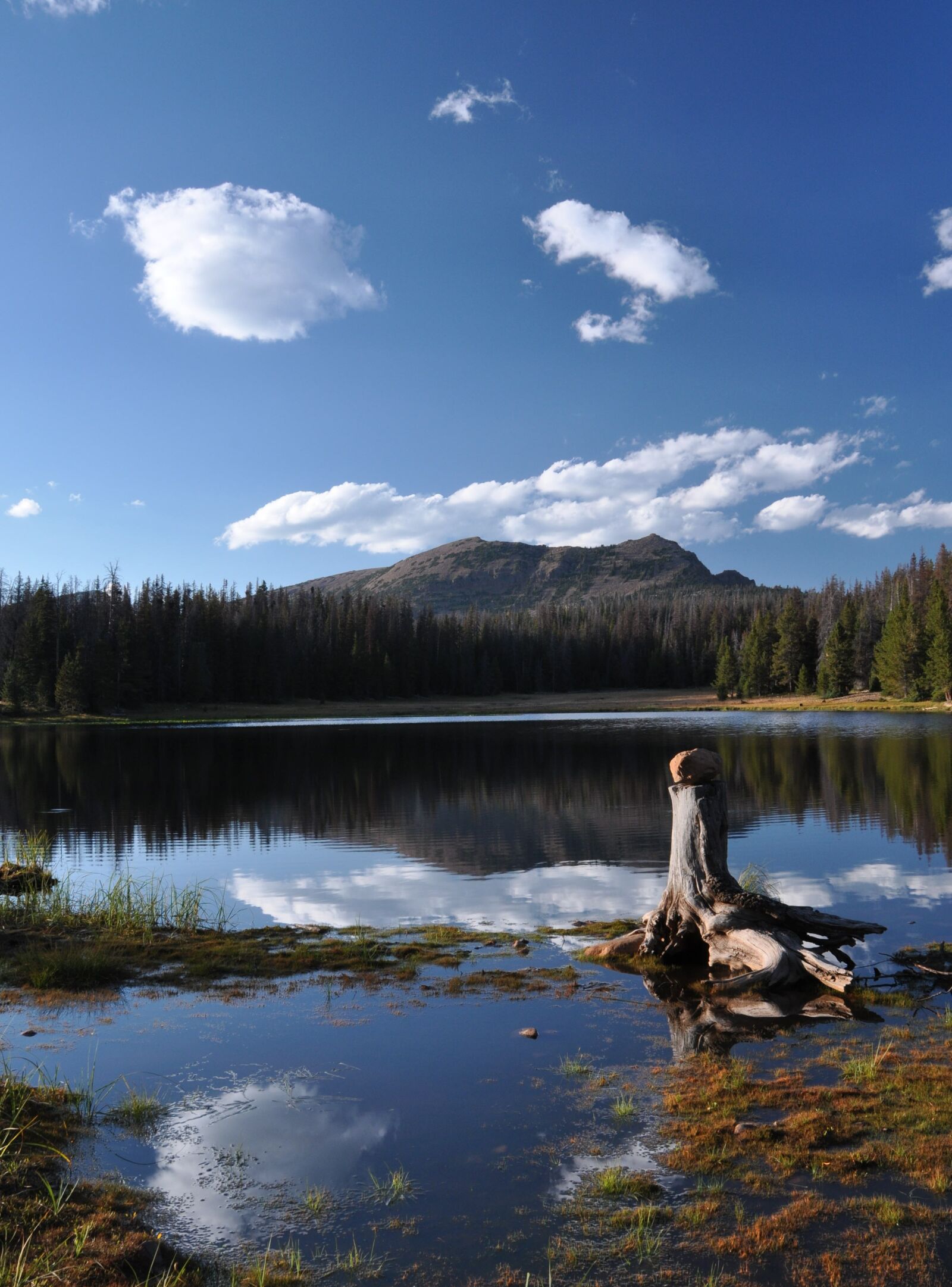 Nikon D90 sample photo. Lake, mountain, reflection photography