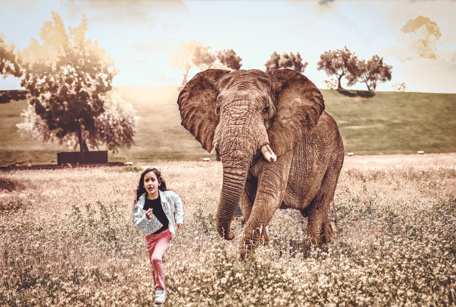 Nikon D7200 sample photo. Elephant, scare, nature photography