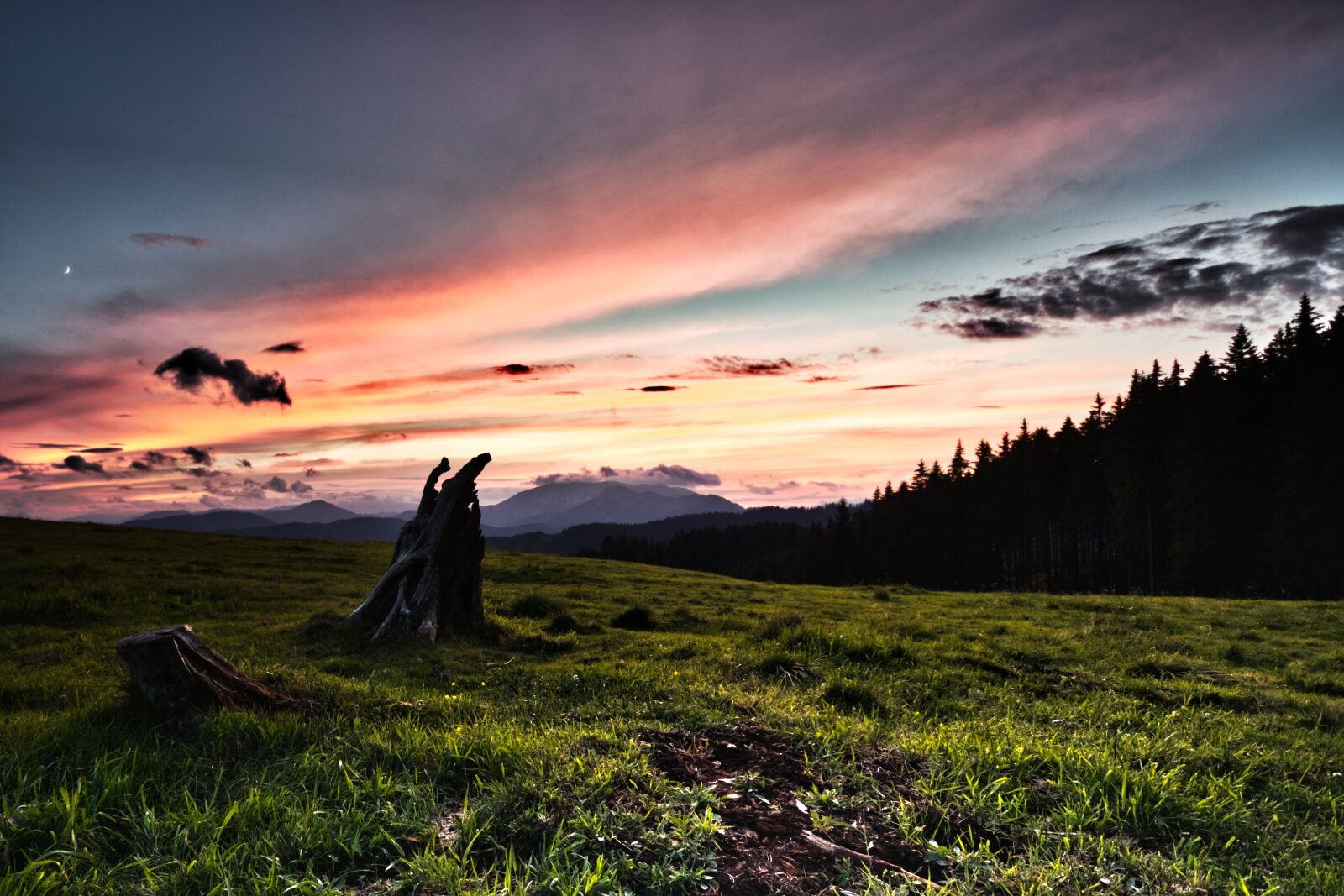 Canon EOS 80D sample photo. Sunset, meadow, tree stump photography
