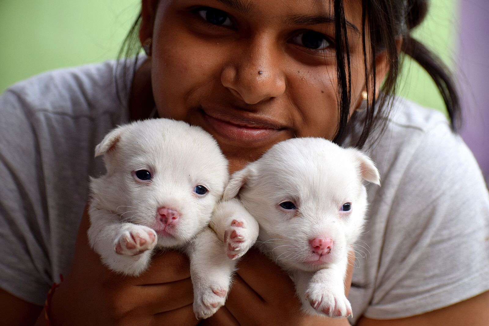 Nikon D3300 sample photo. Newborn, puppies, cute photography