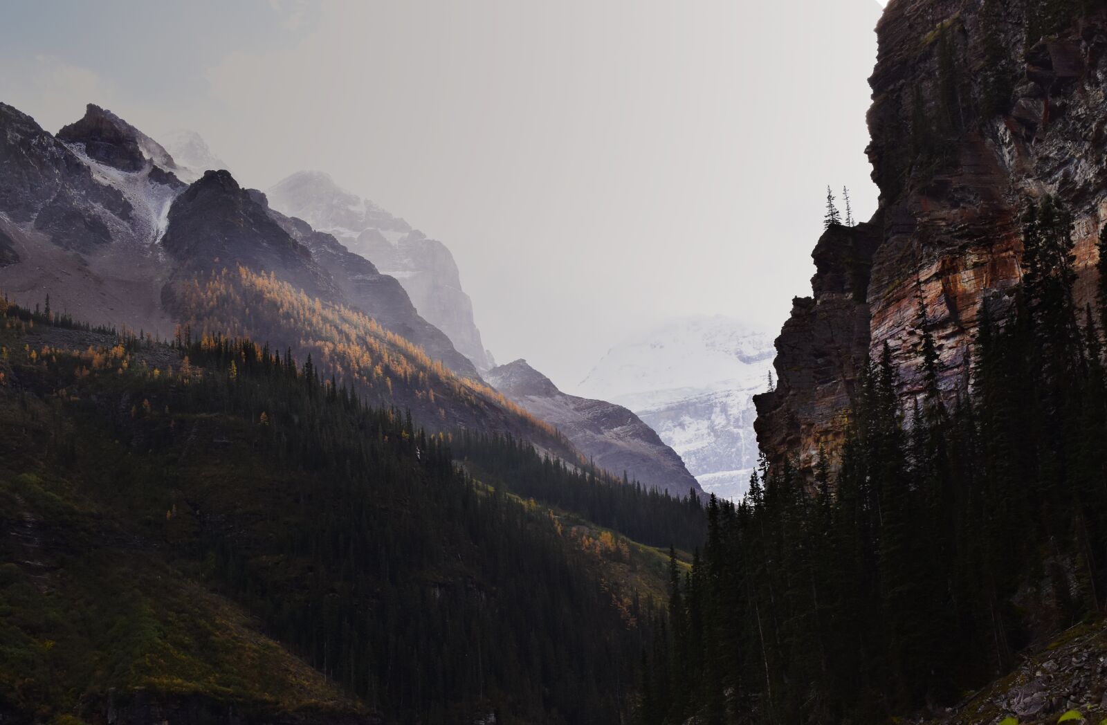 Nikon D5600 sample photo. Canada, alberta, lake louise photography